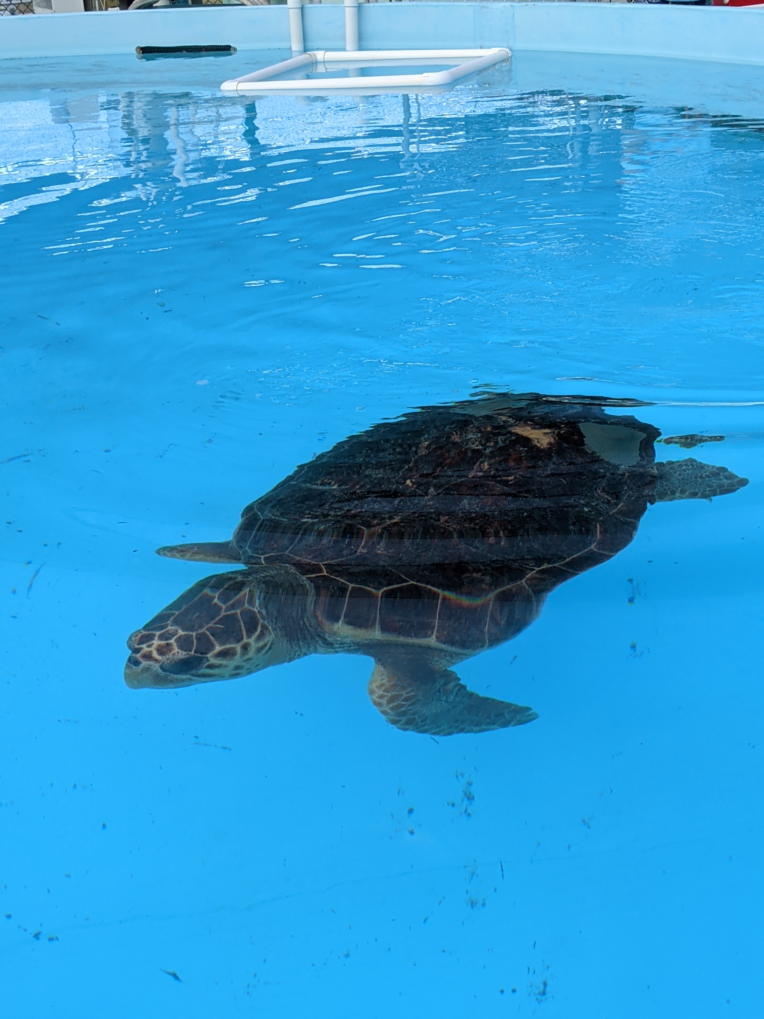 PXL 20210311 200701228