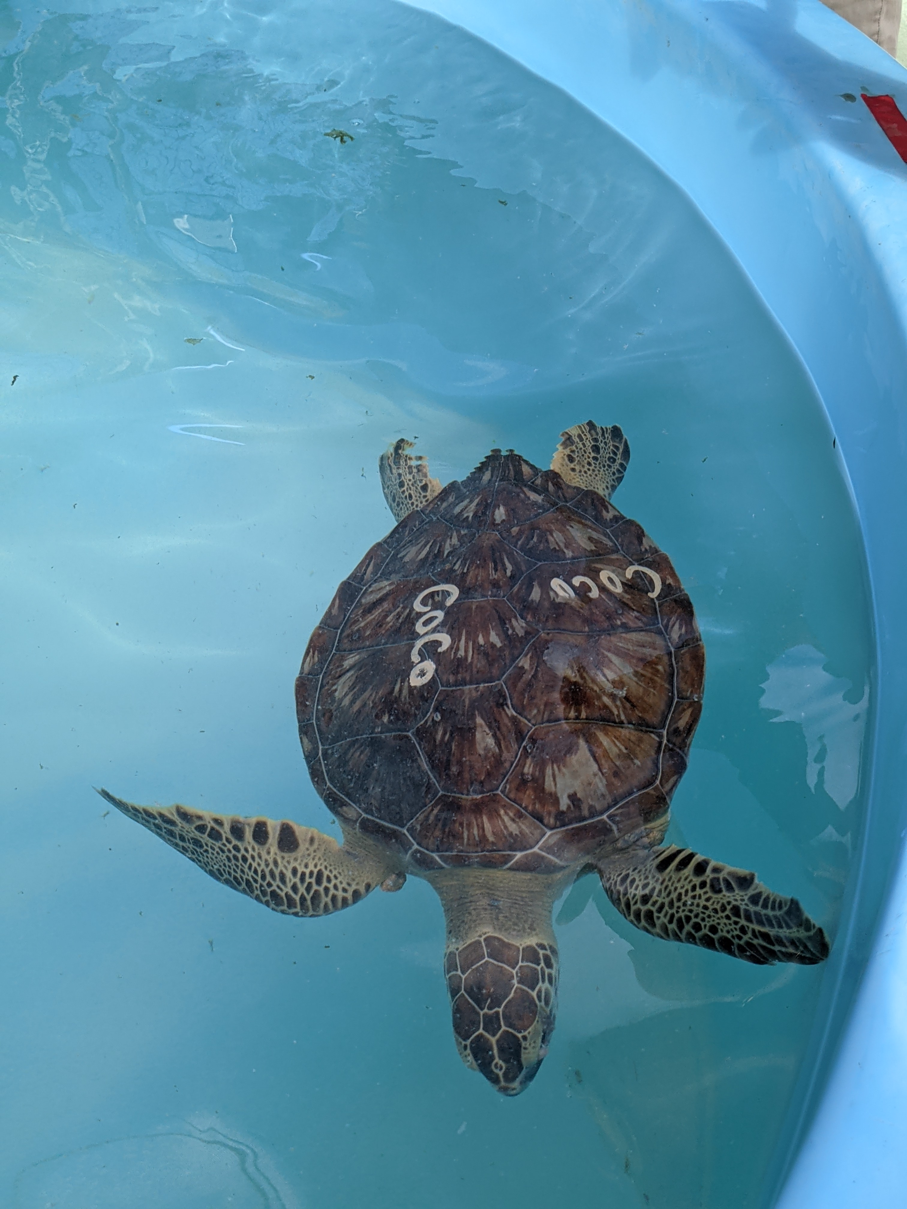 PXL 20210311 201933390