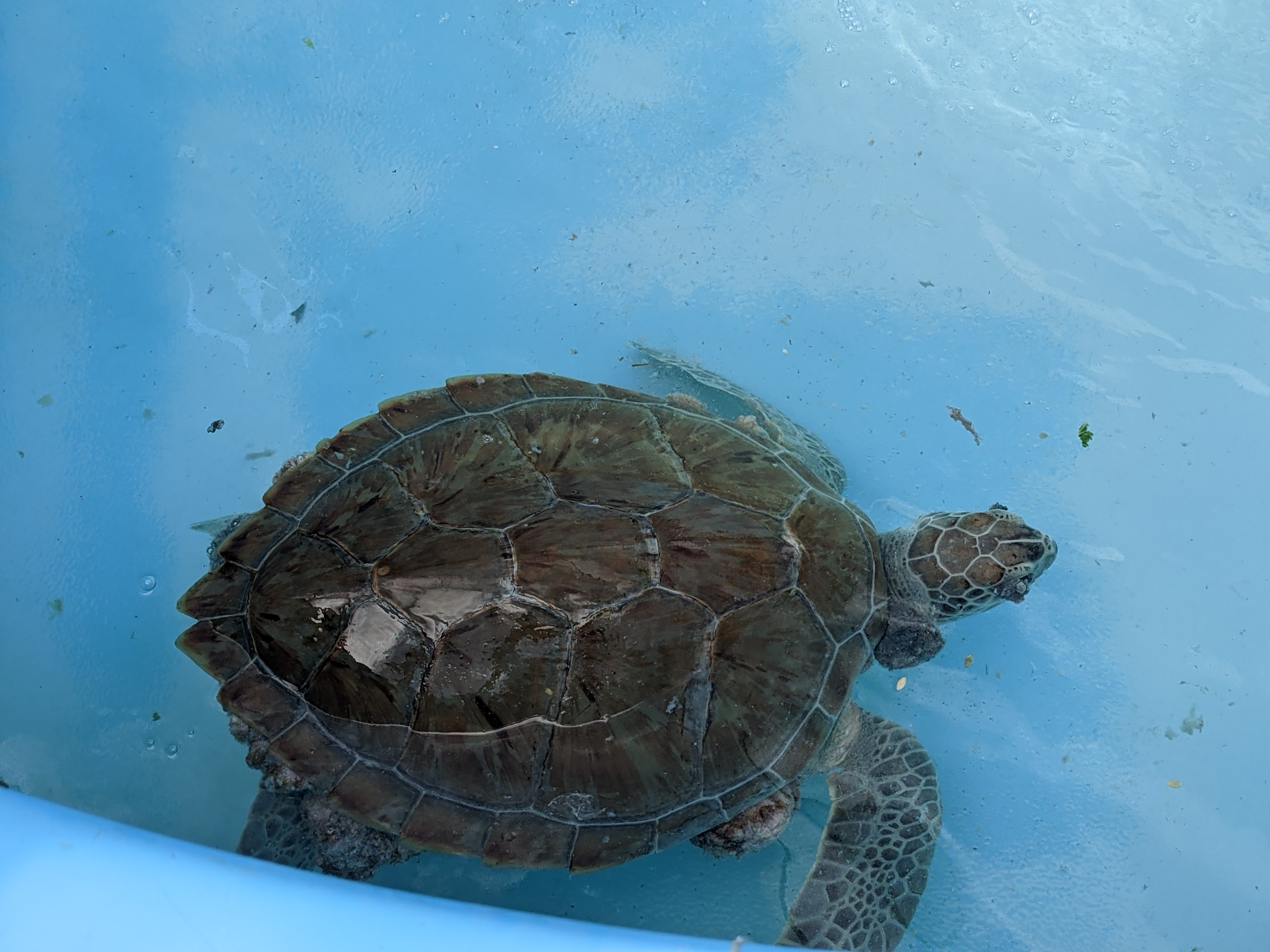 PXL 20210311 202259773.MP