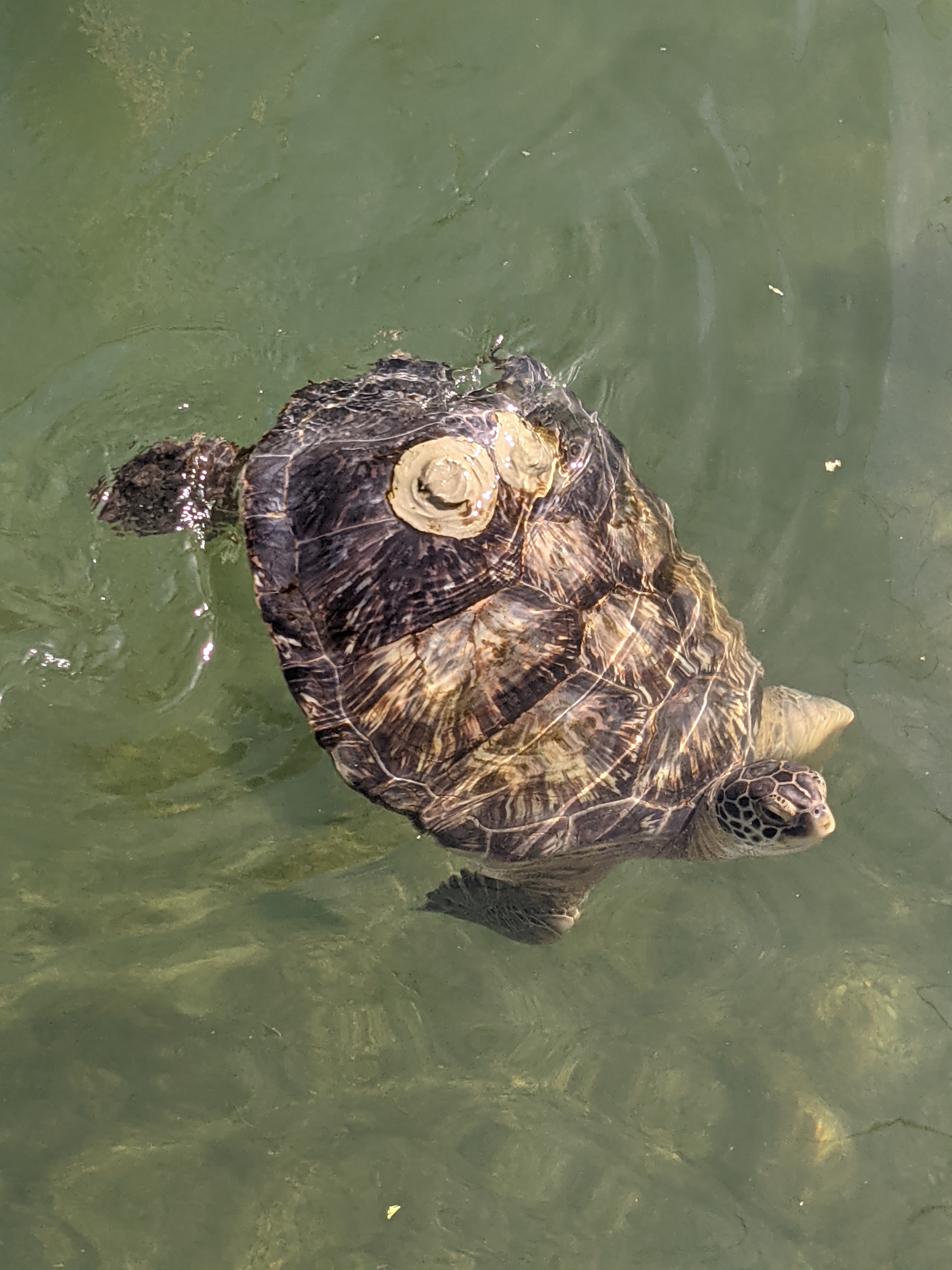 PXL 20210311 203327257