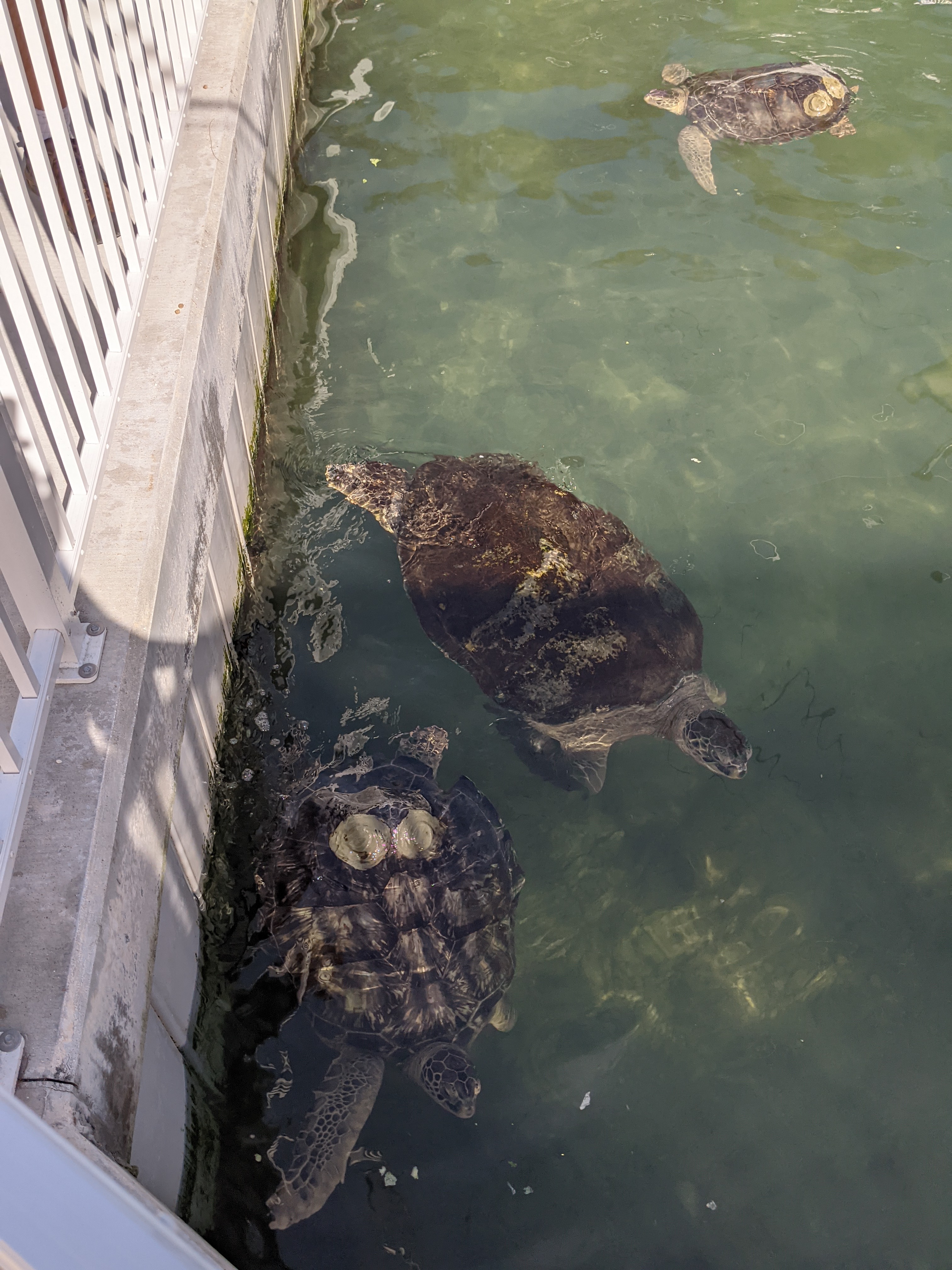 PXL 20210311 203345841.MP