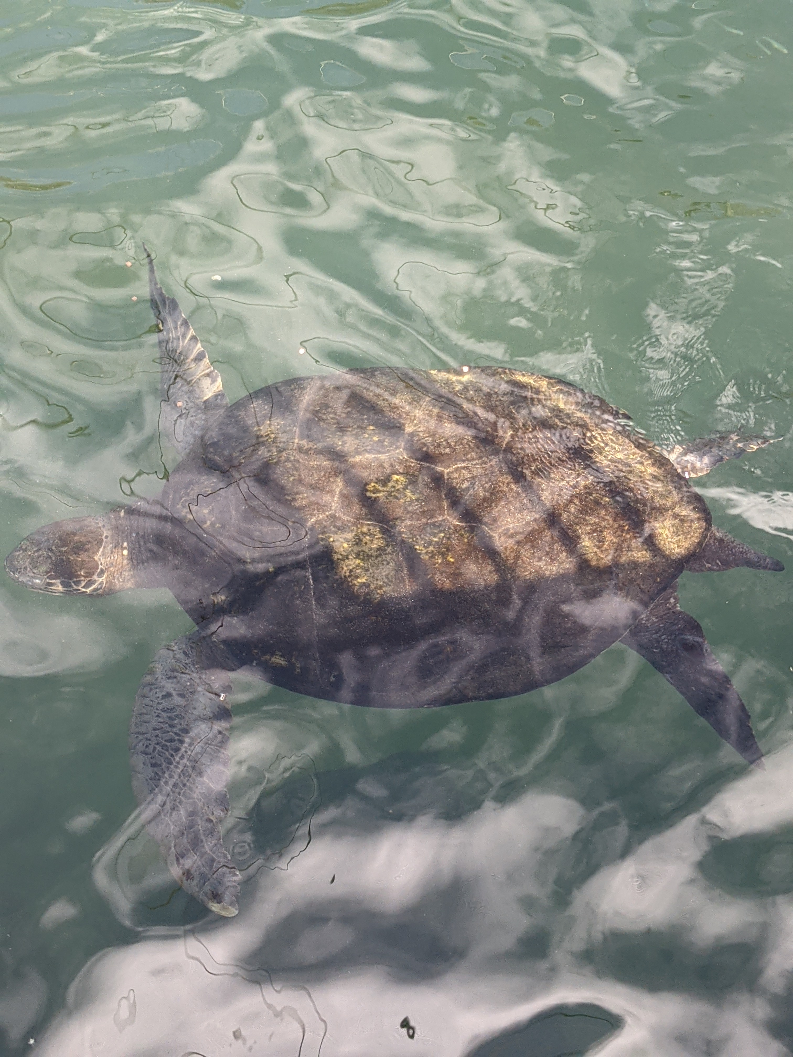 PXL 20210311 203754847