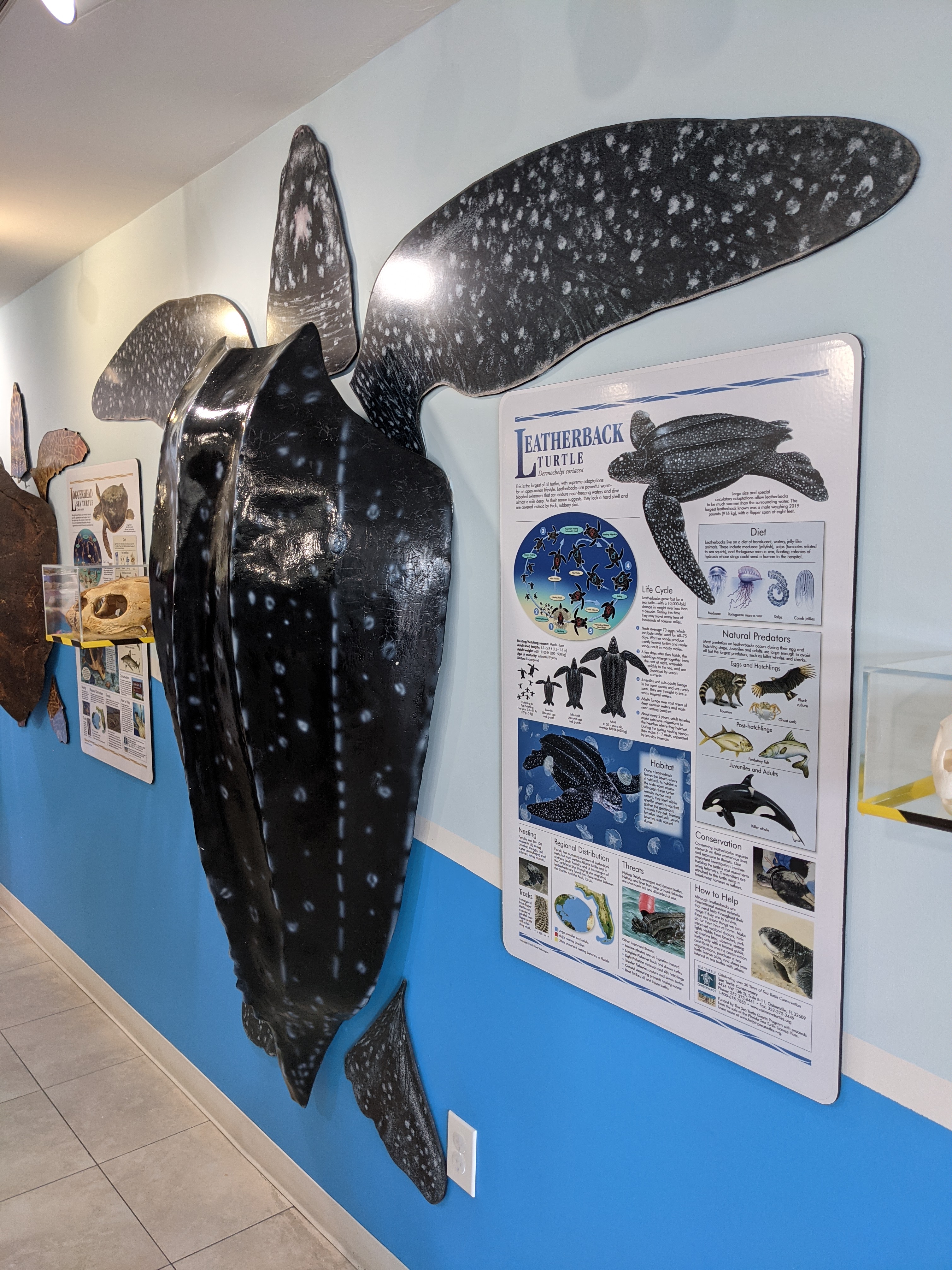 PXL 20210311 204845237