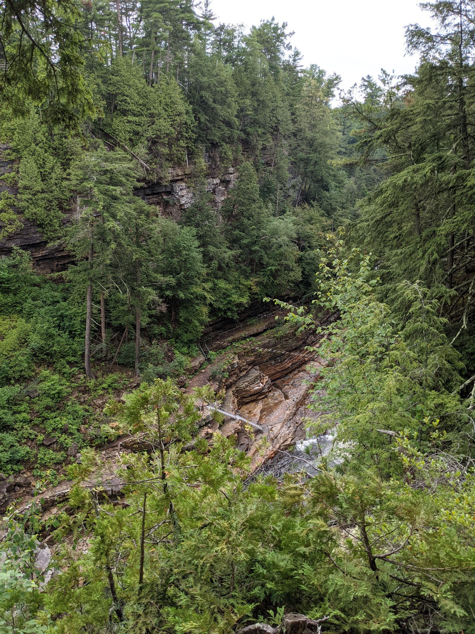 PXL 20210706 155331988