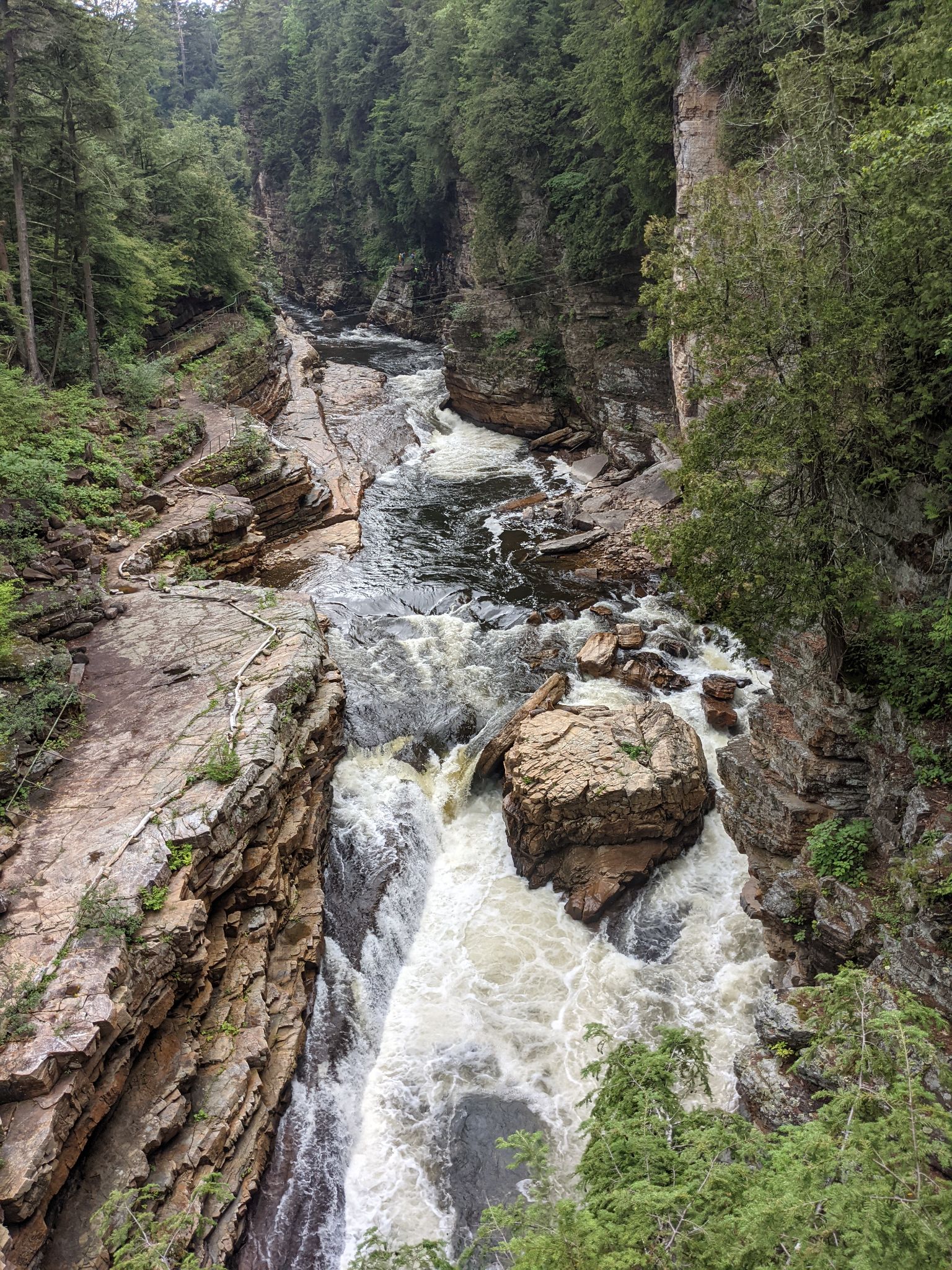 PXL 20210706 155609385