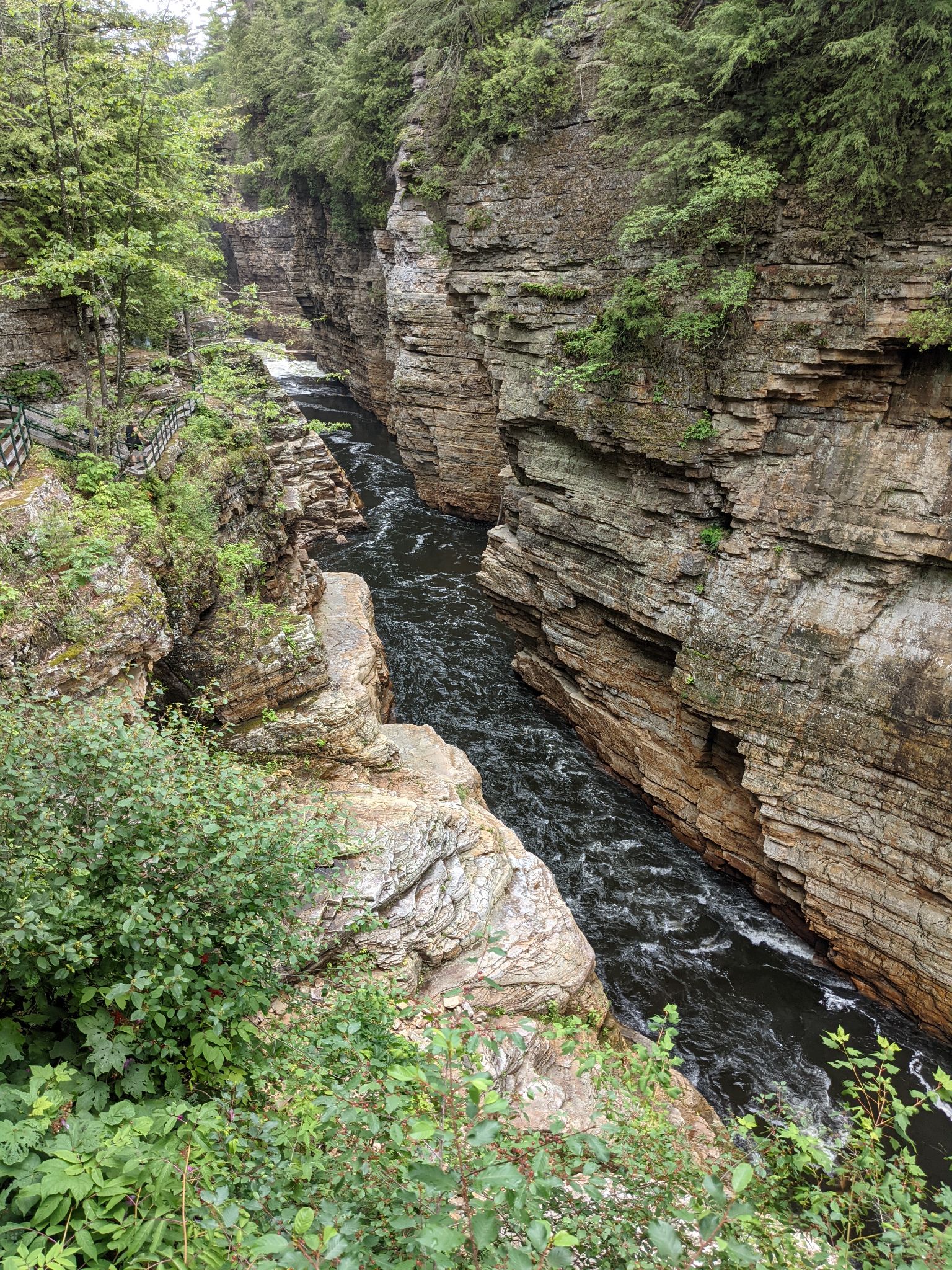 PXL 20210706 155906989