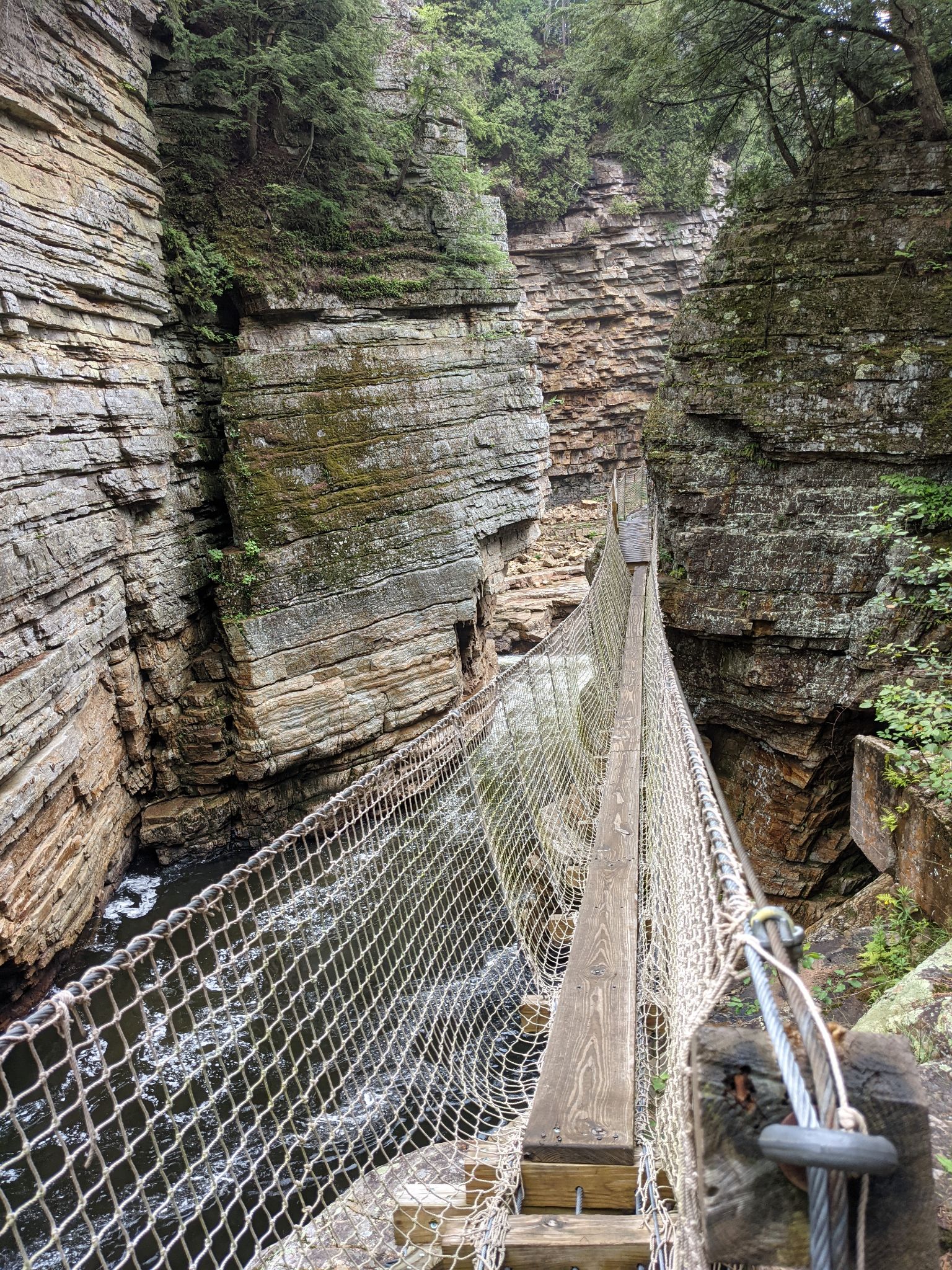 PXL 20210706 160041503