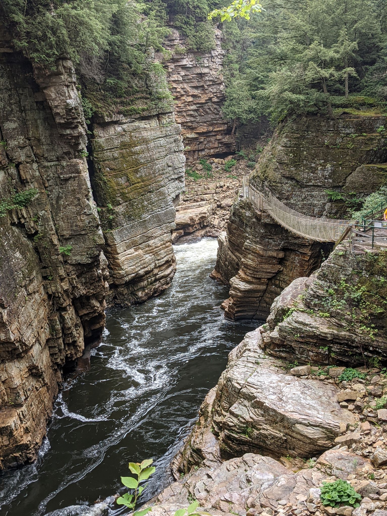 PXL 20210706 160248173.PORTRAIT