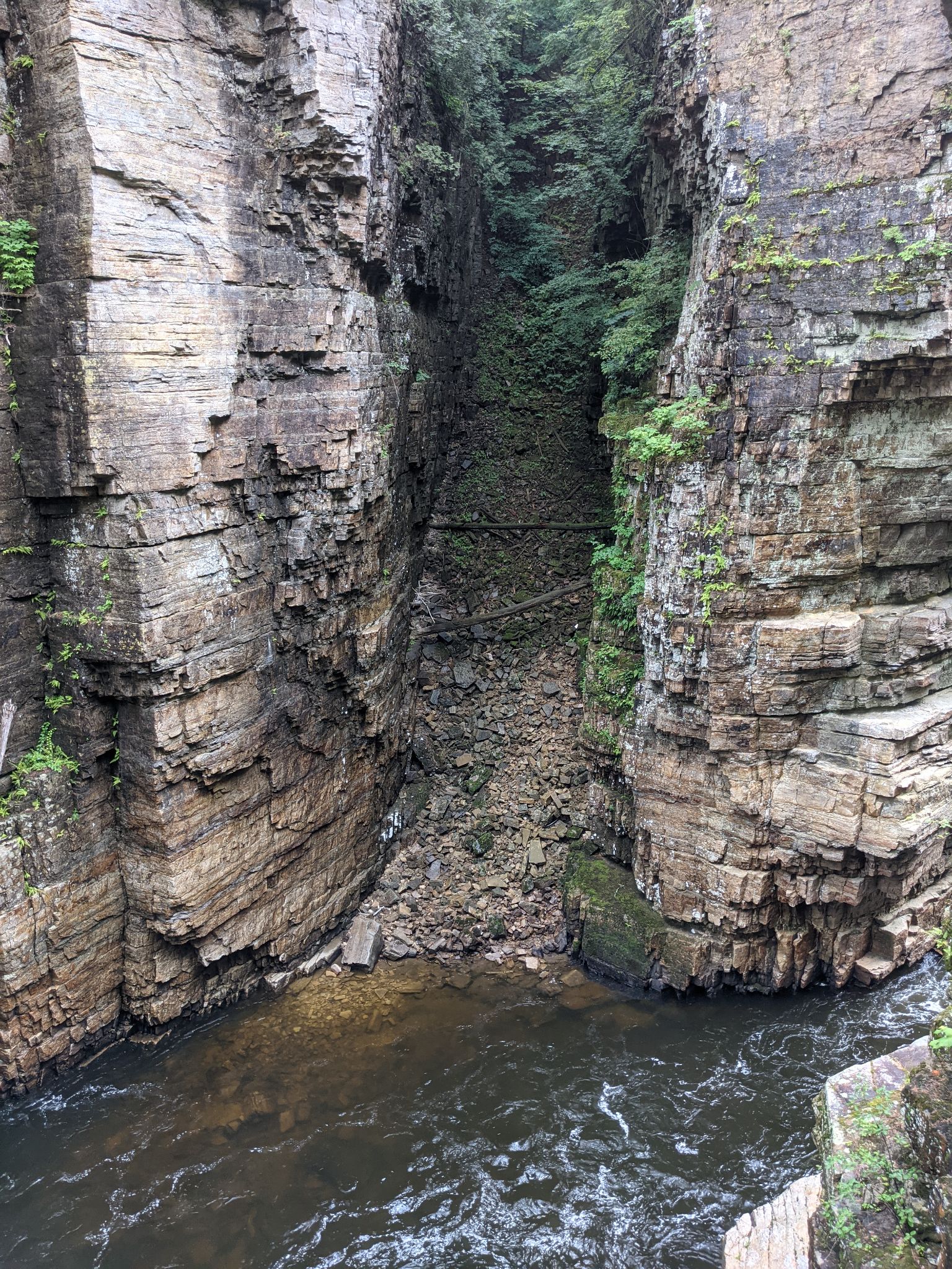 PXL 20210706 160415890