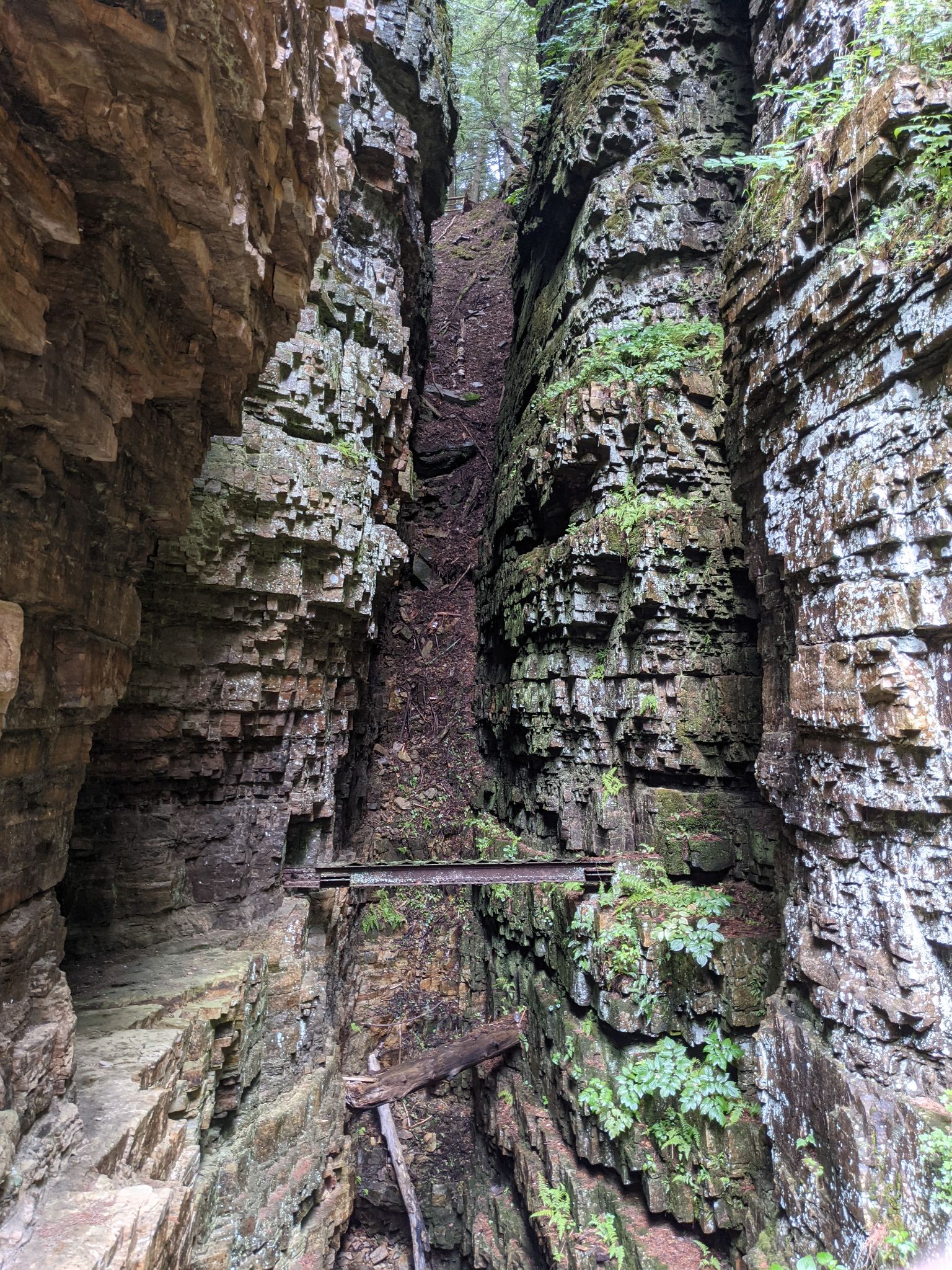 PXL 20210706 160926611