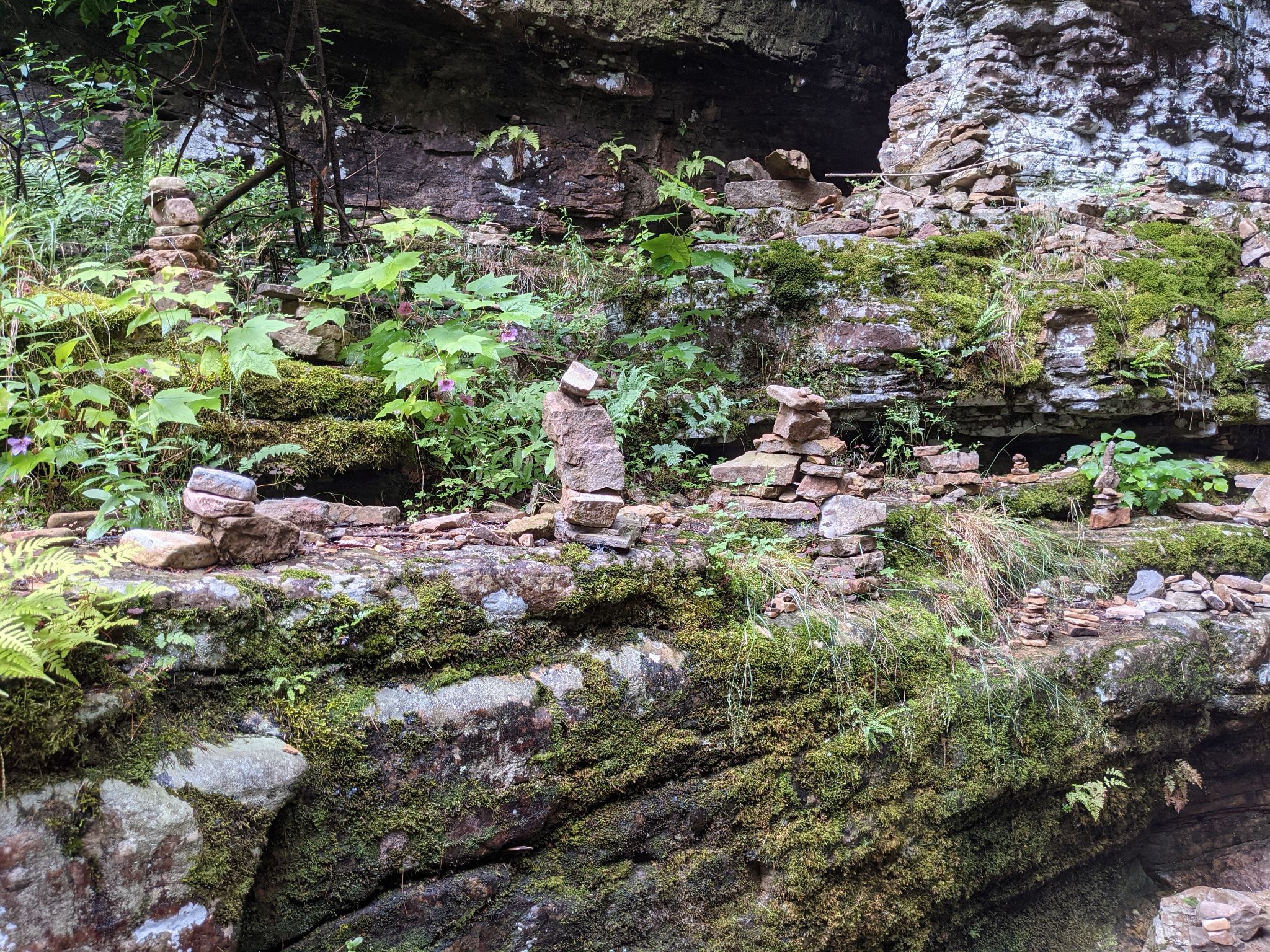 PXL 20210706 161112583