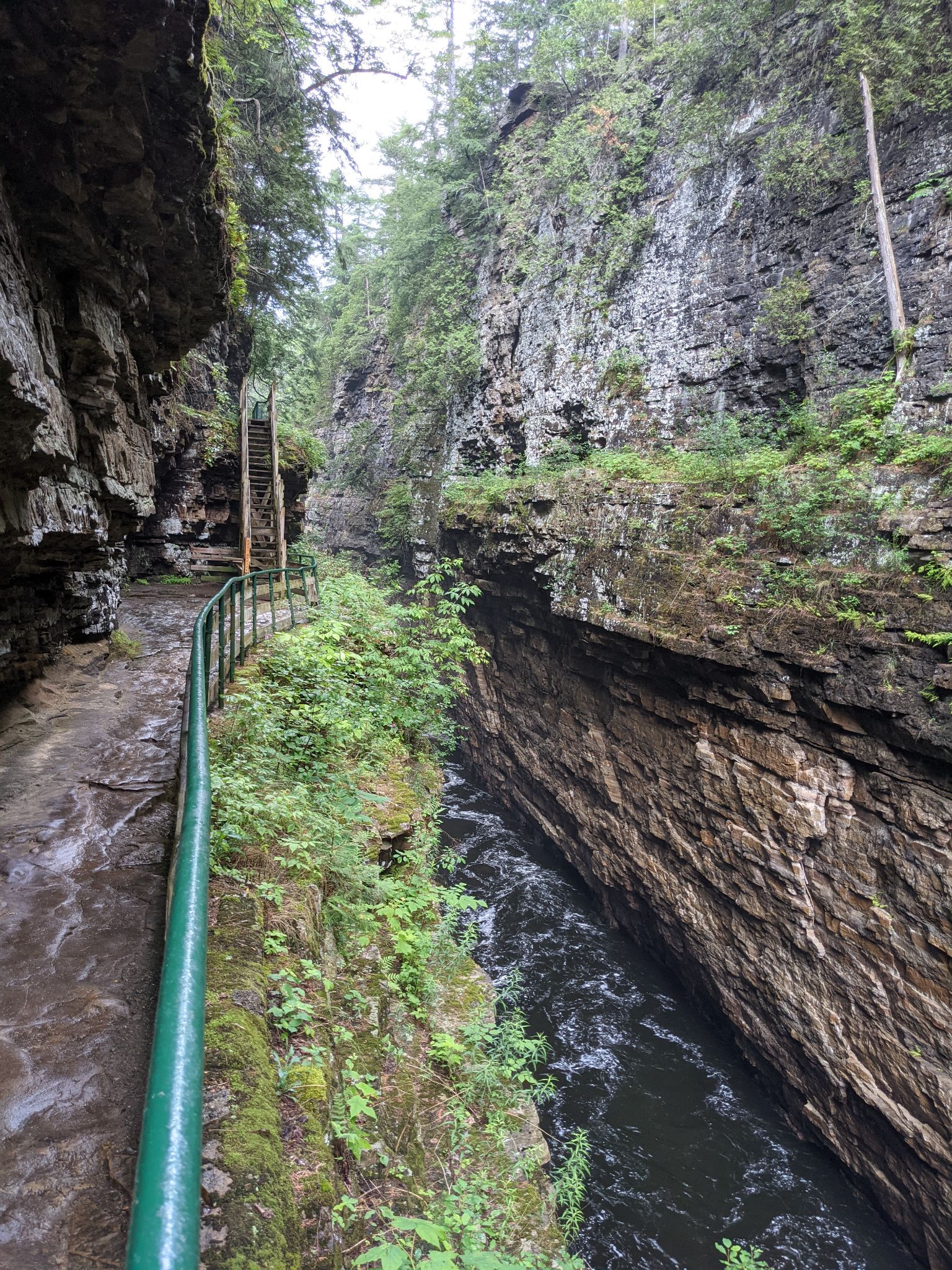 PXL 20210706 161136376