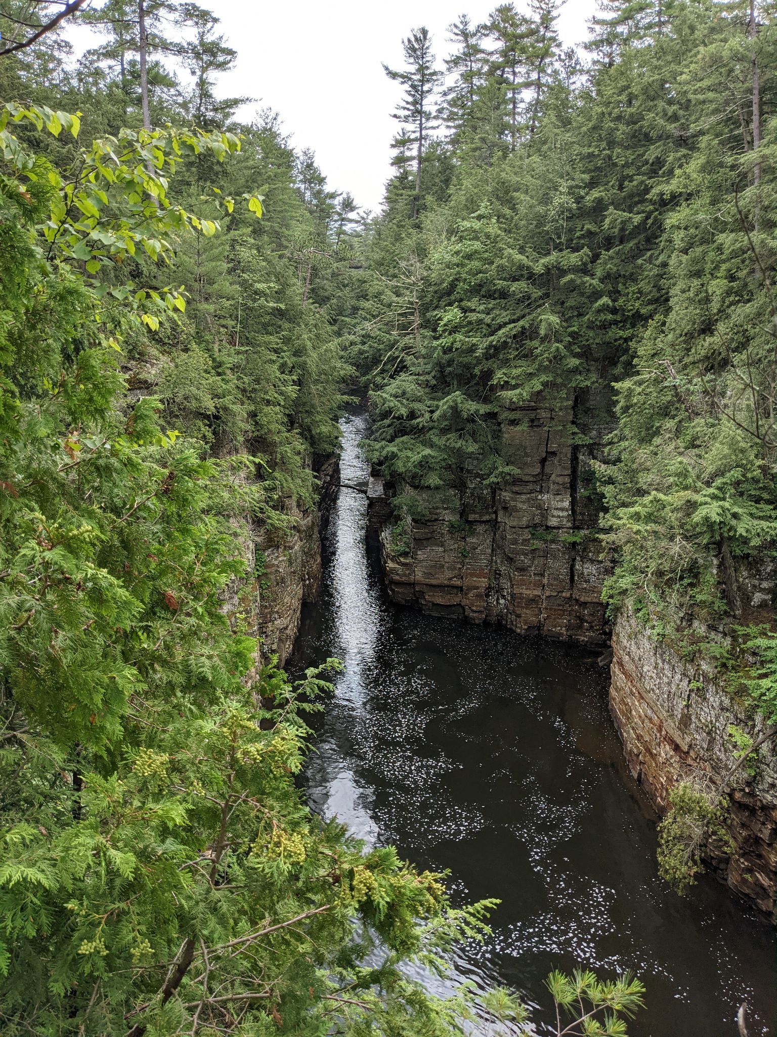 PXL 20210706 163039078