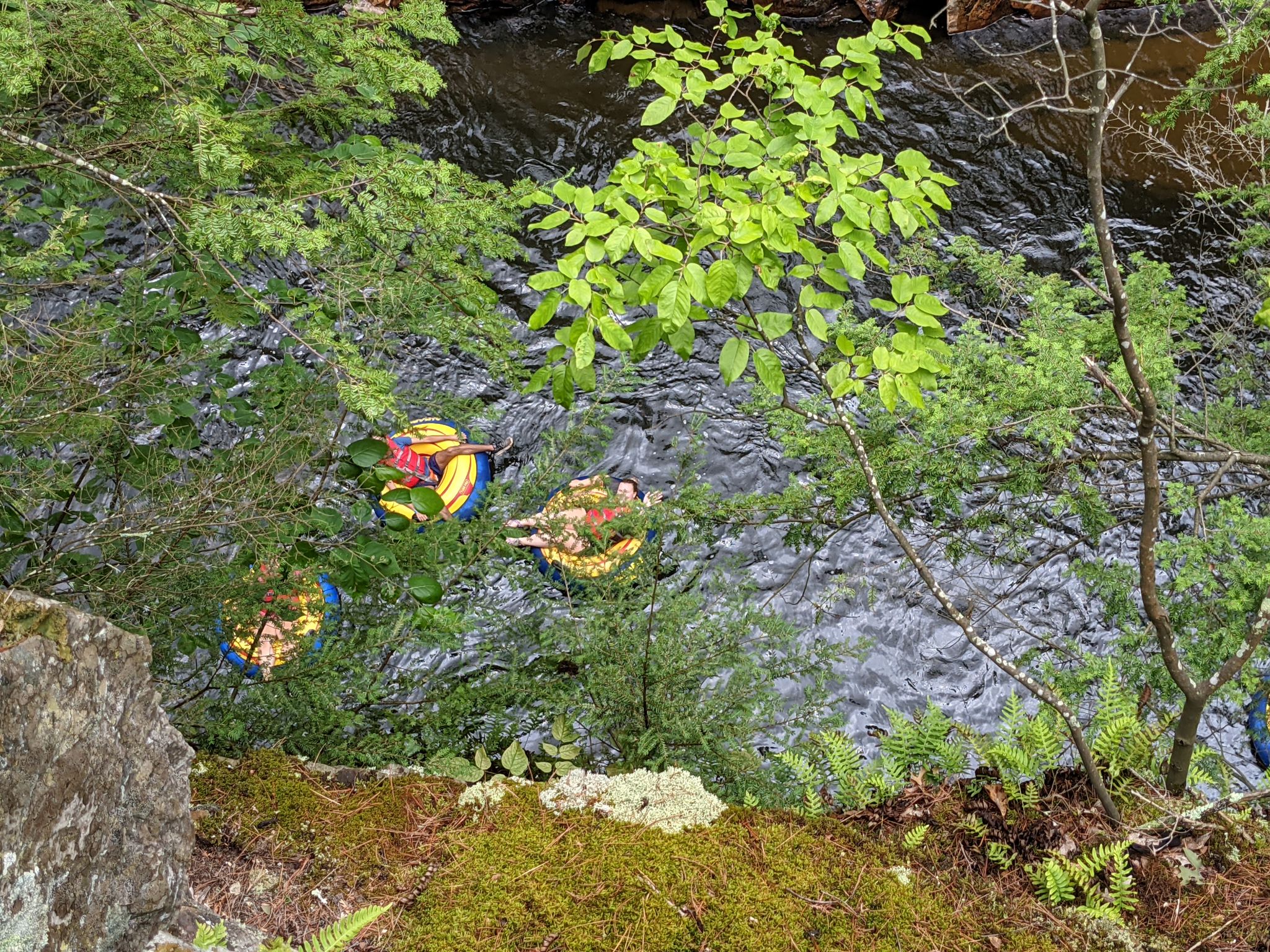 PXL 20210706 163817947.MP