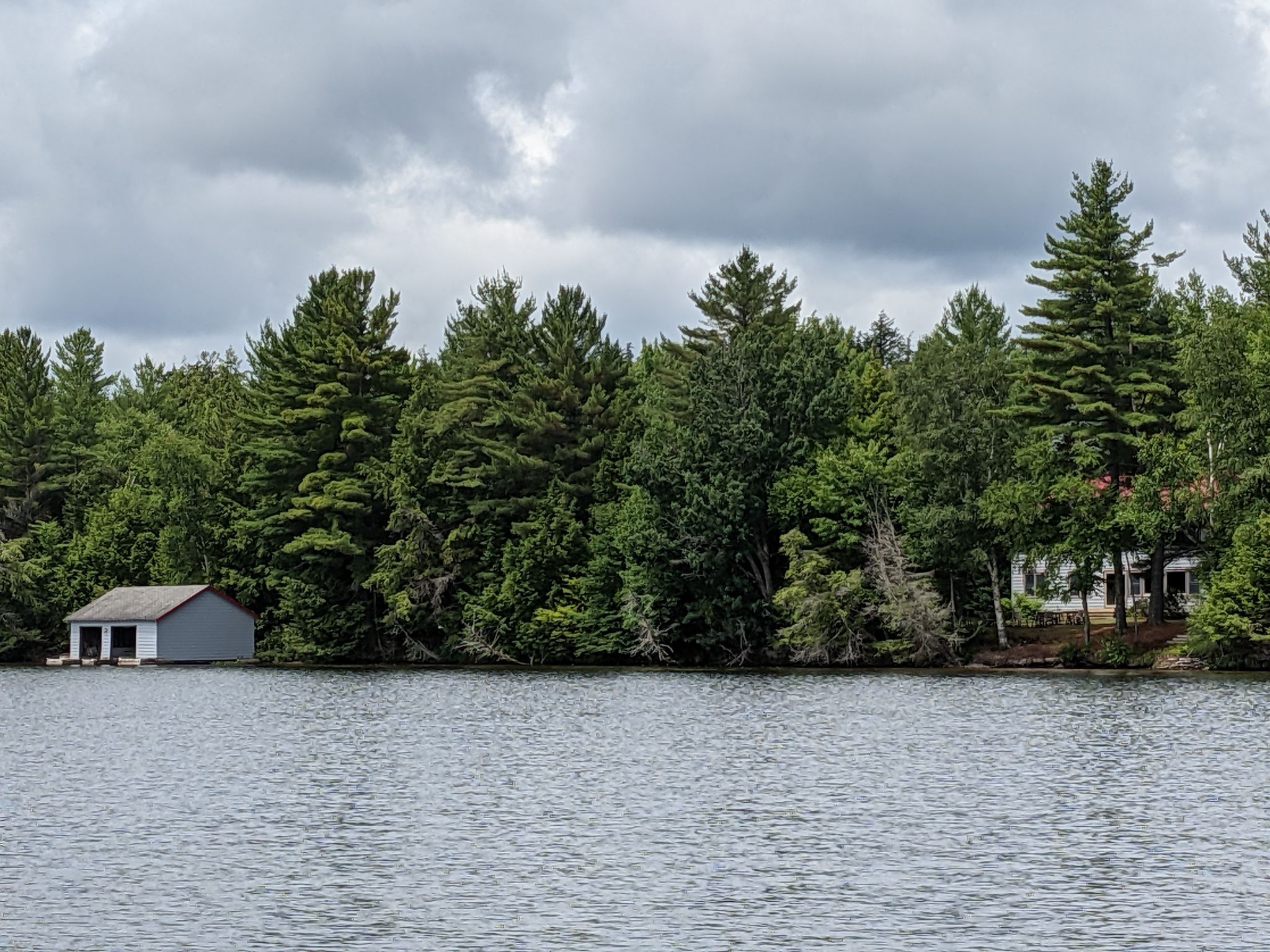 PXL 20210709 155014305