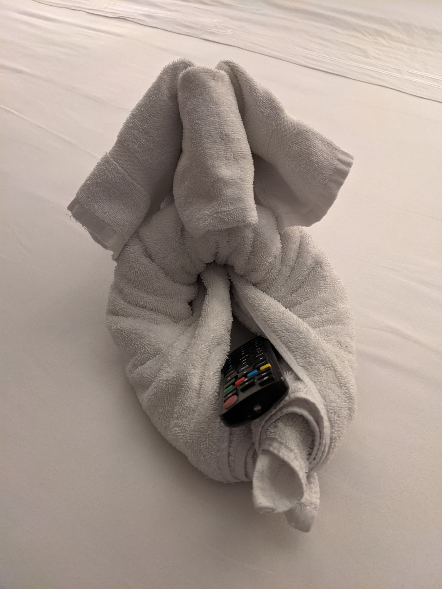 PXL 20211024 235540884