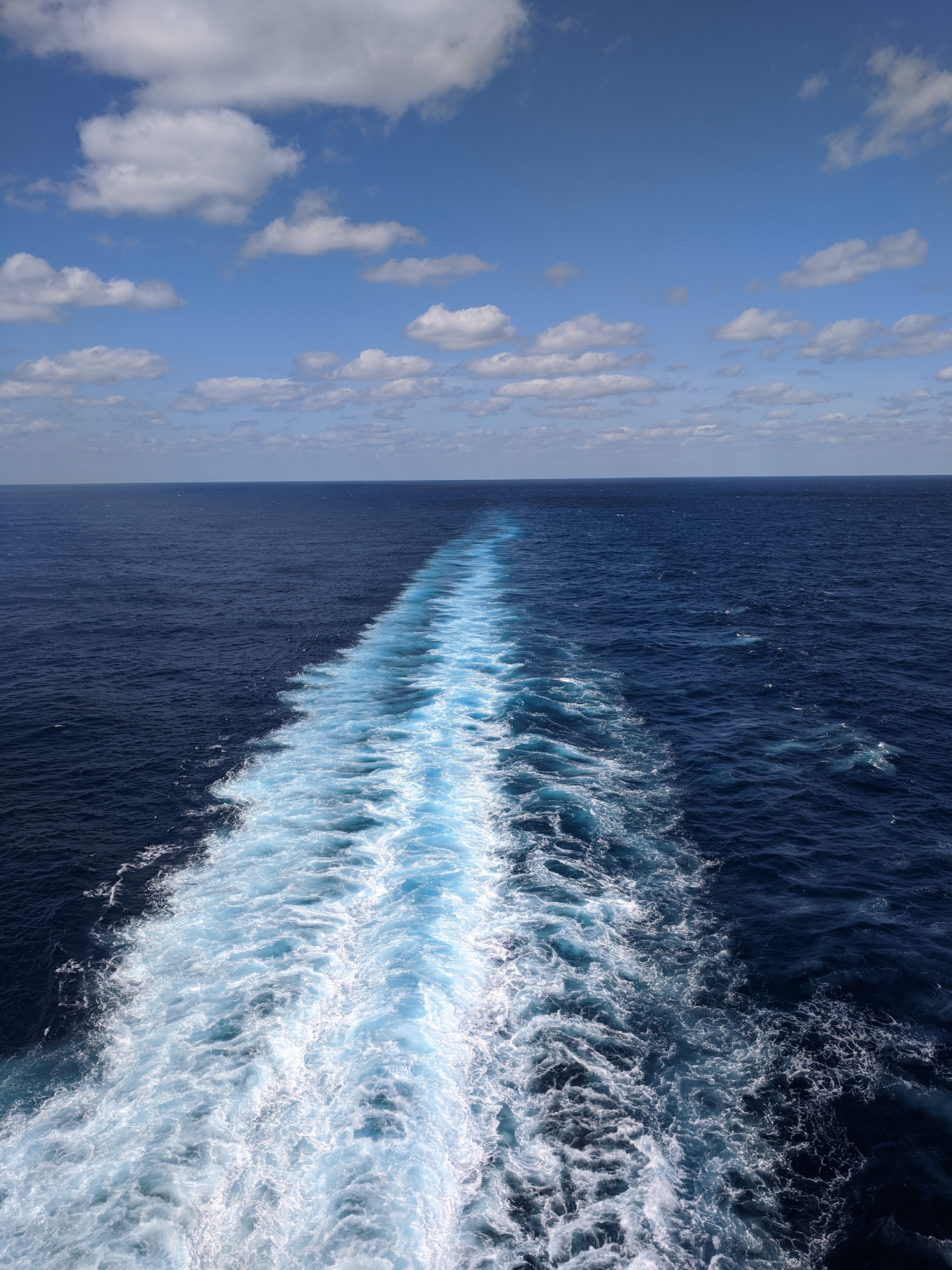 IMG 20200301 143944~2