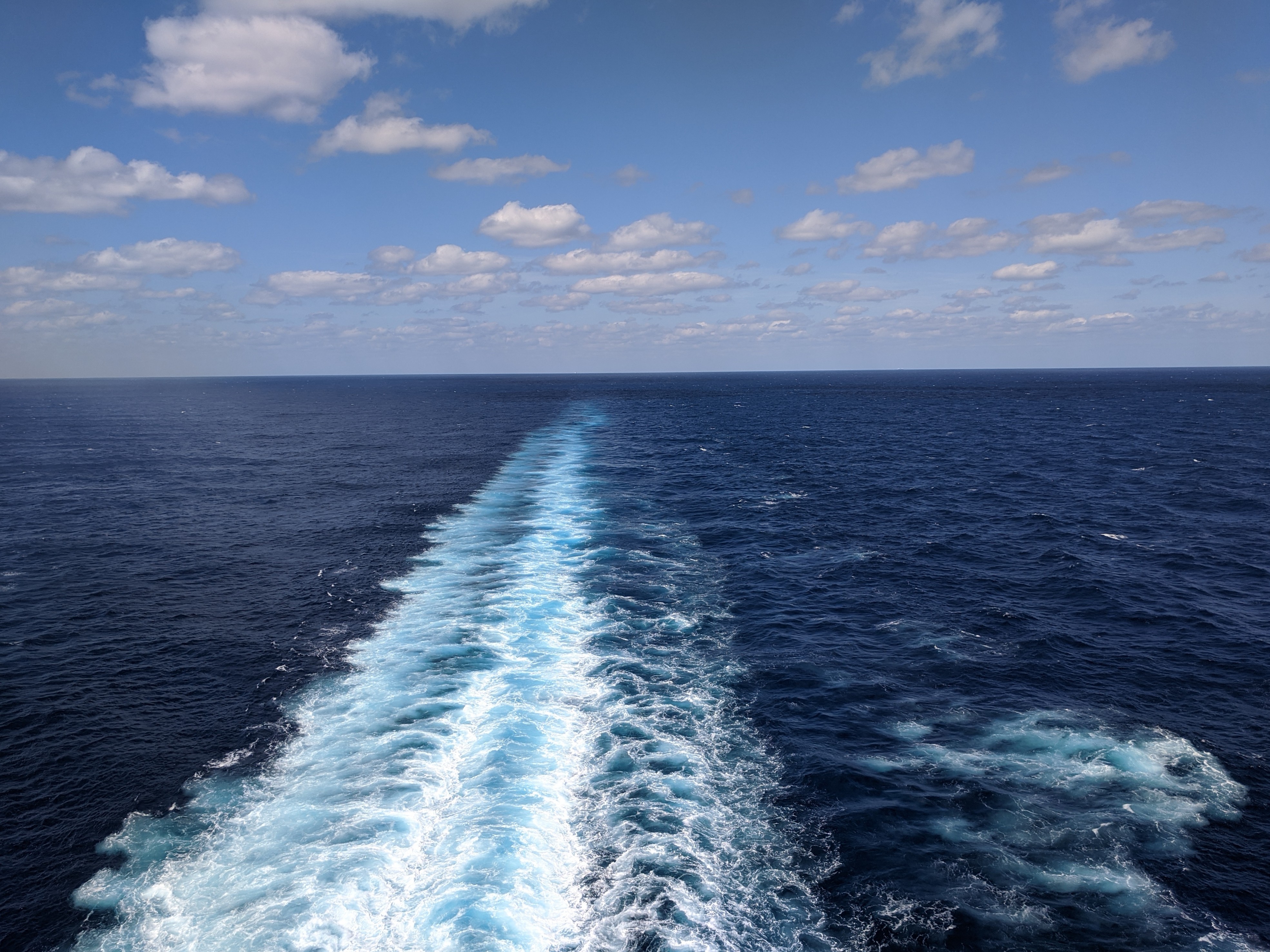 IMG 20200301 143952~2