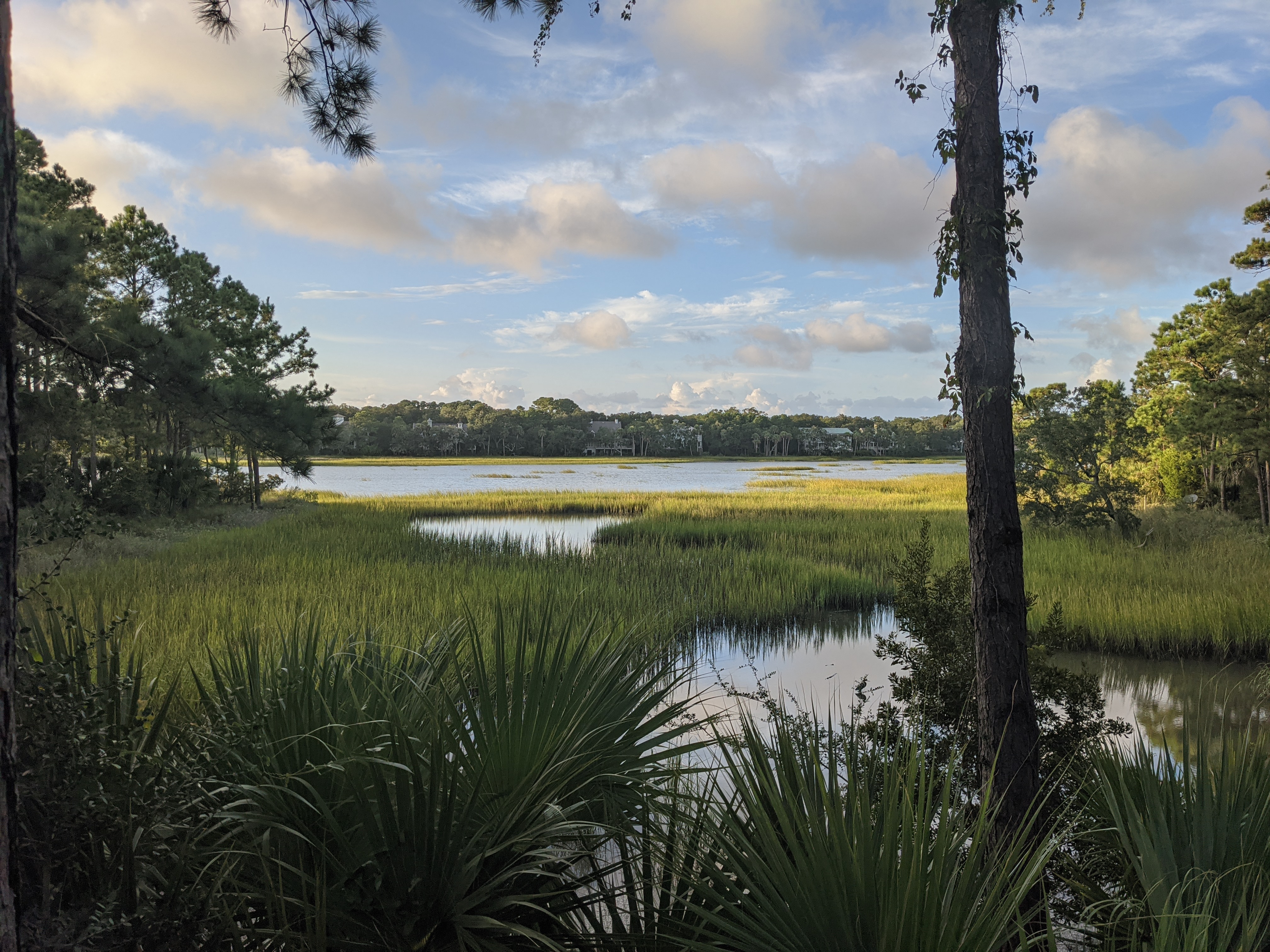 PXL 20200912 225455083