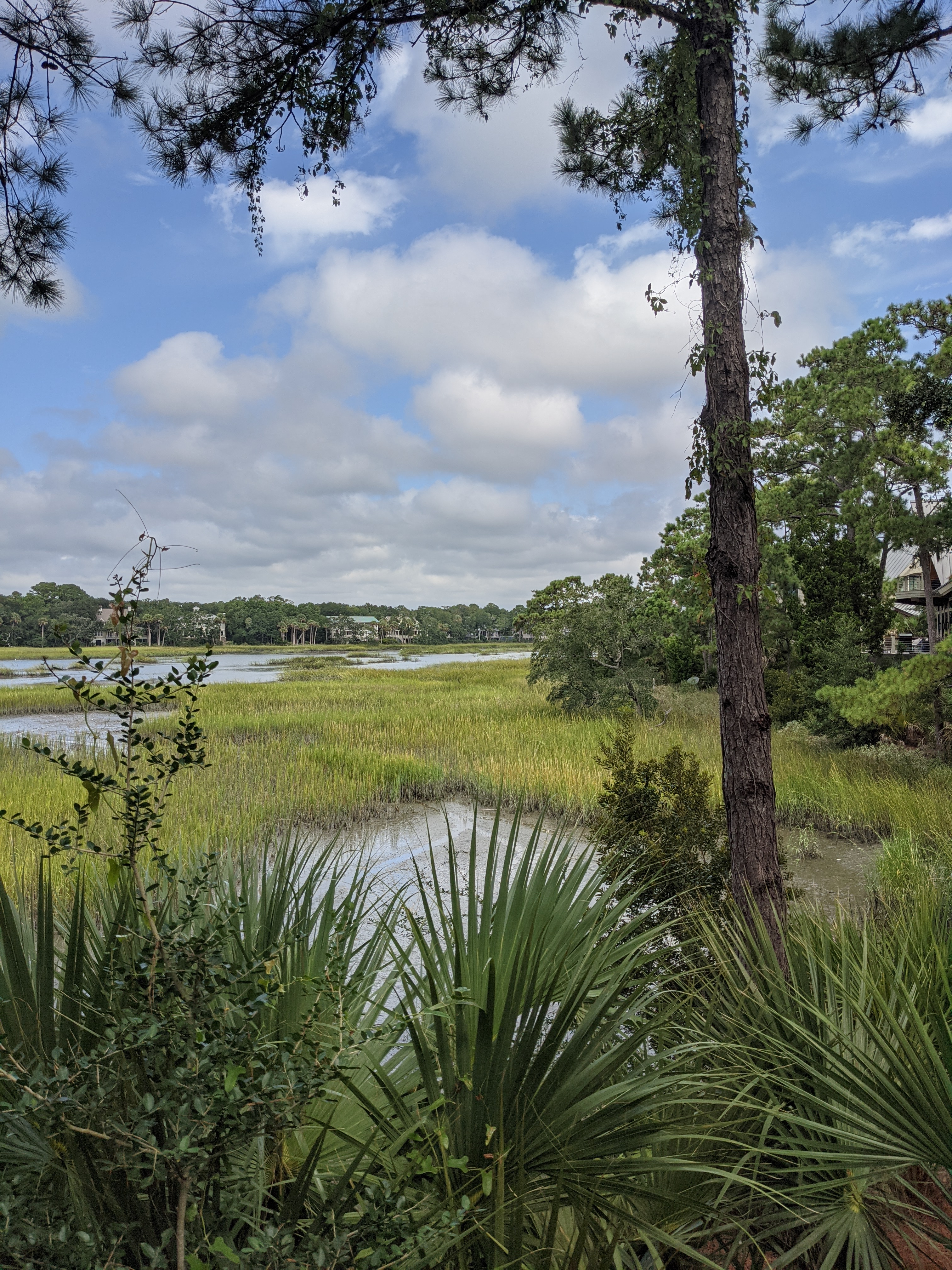 PXL 20200913 161432283