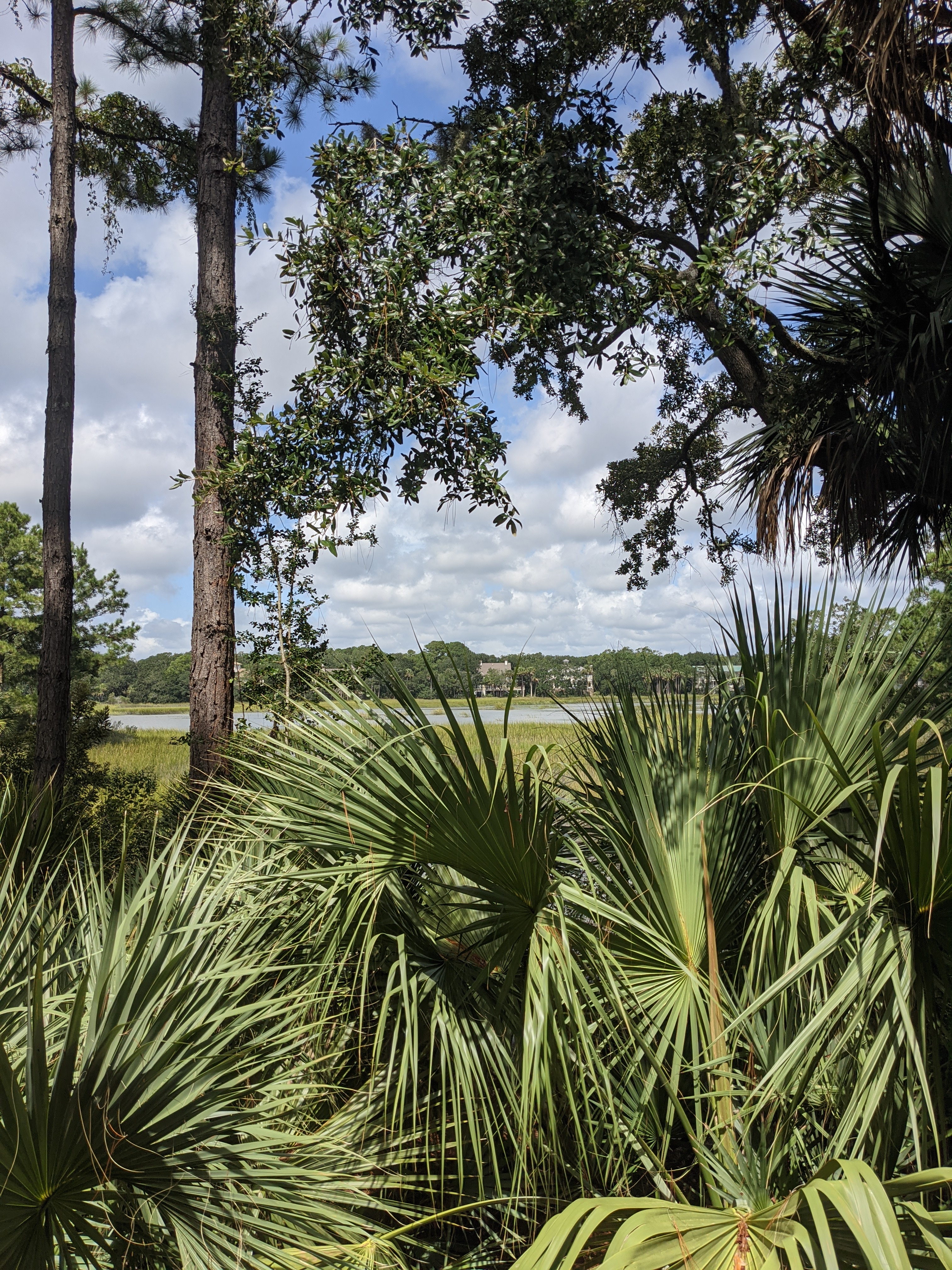 PXL 20200913 172045103