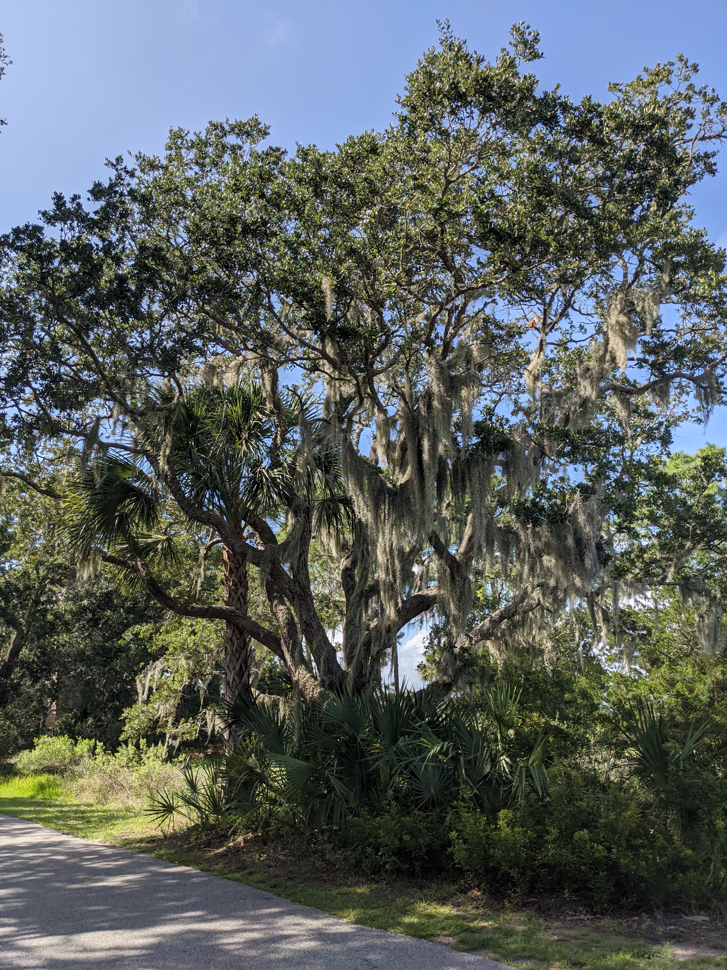 PXL 20200913 191032888.MP