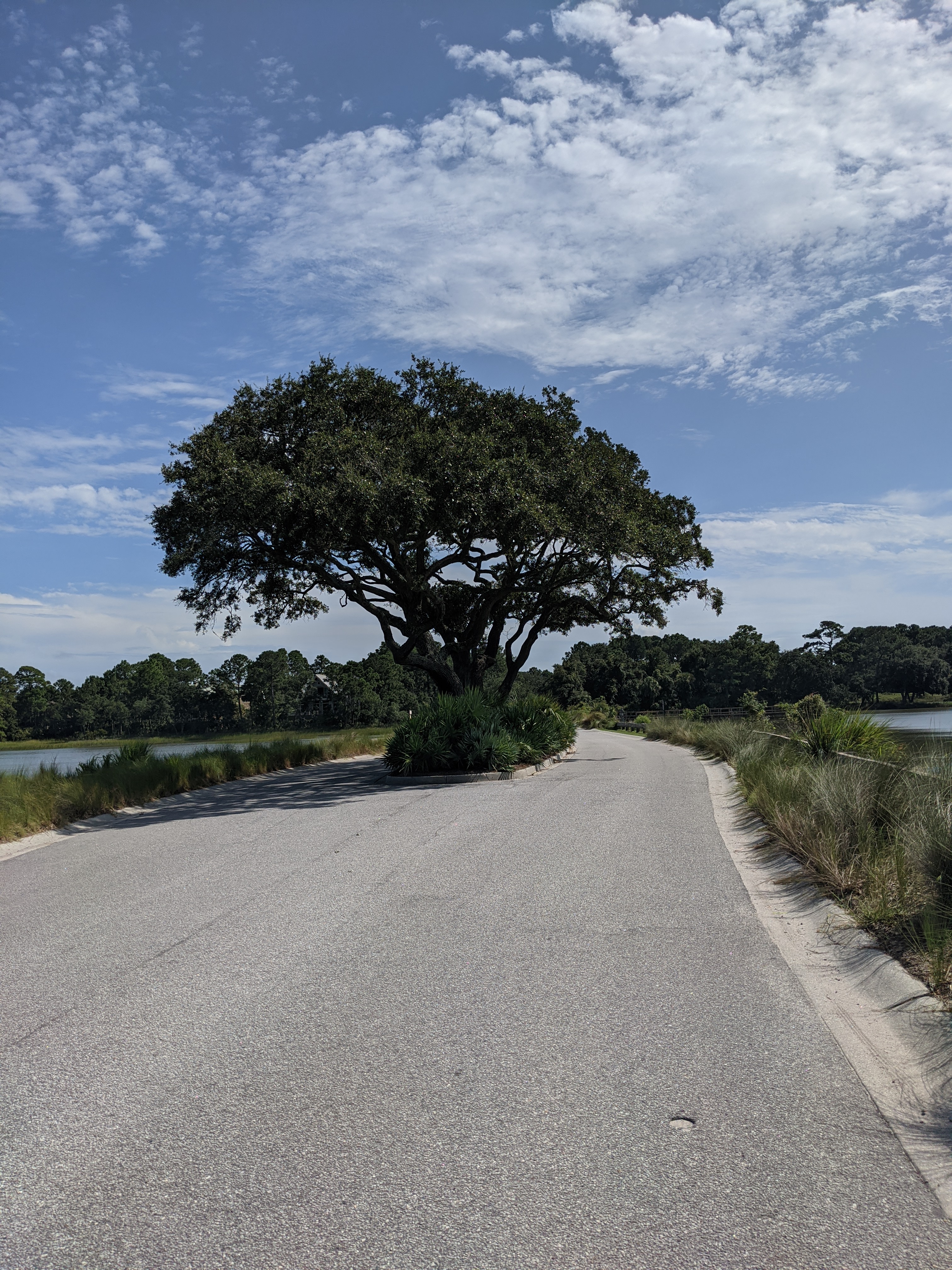 PXL 20200913 192247341