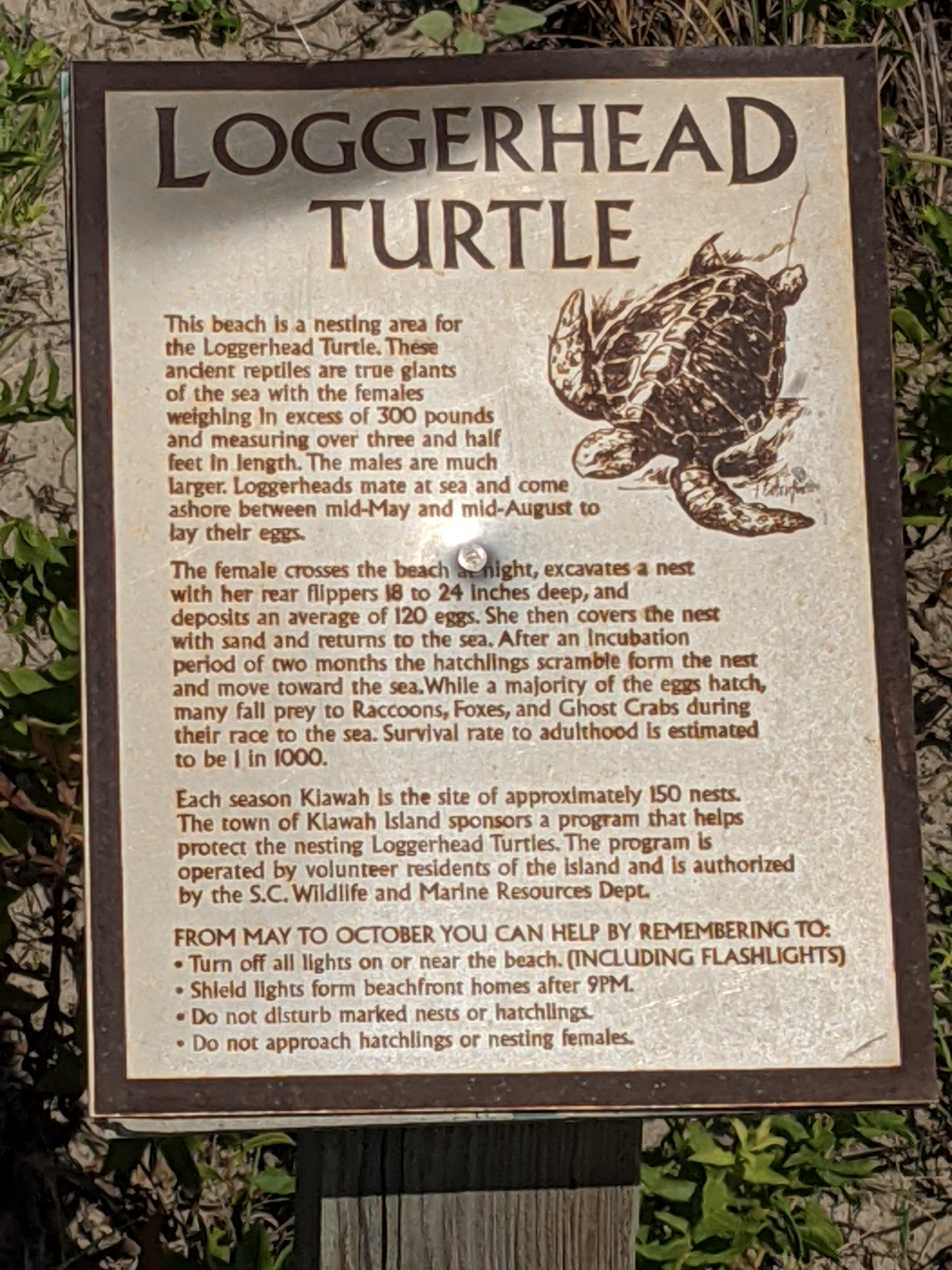 PXL 20200913 193621755