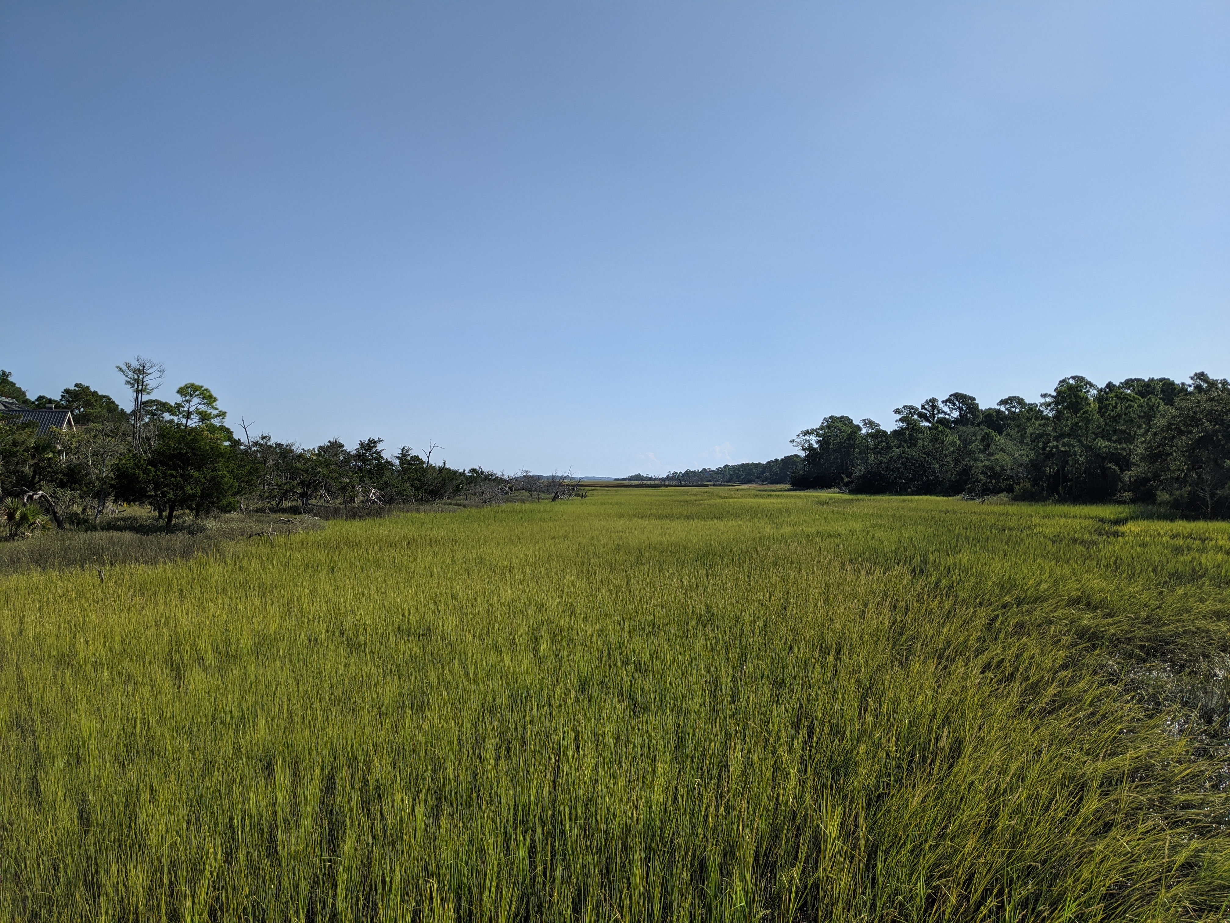 PXL 20200914 143340263