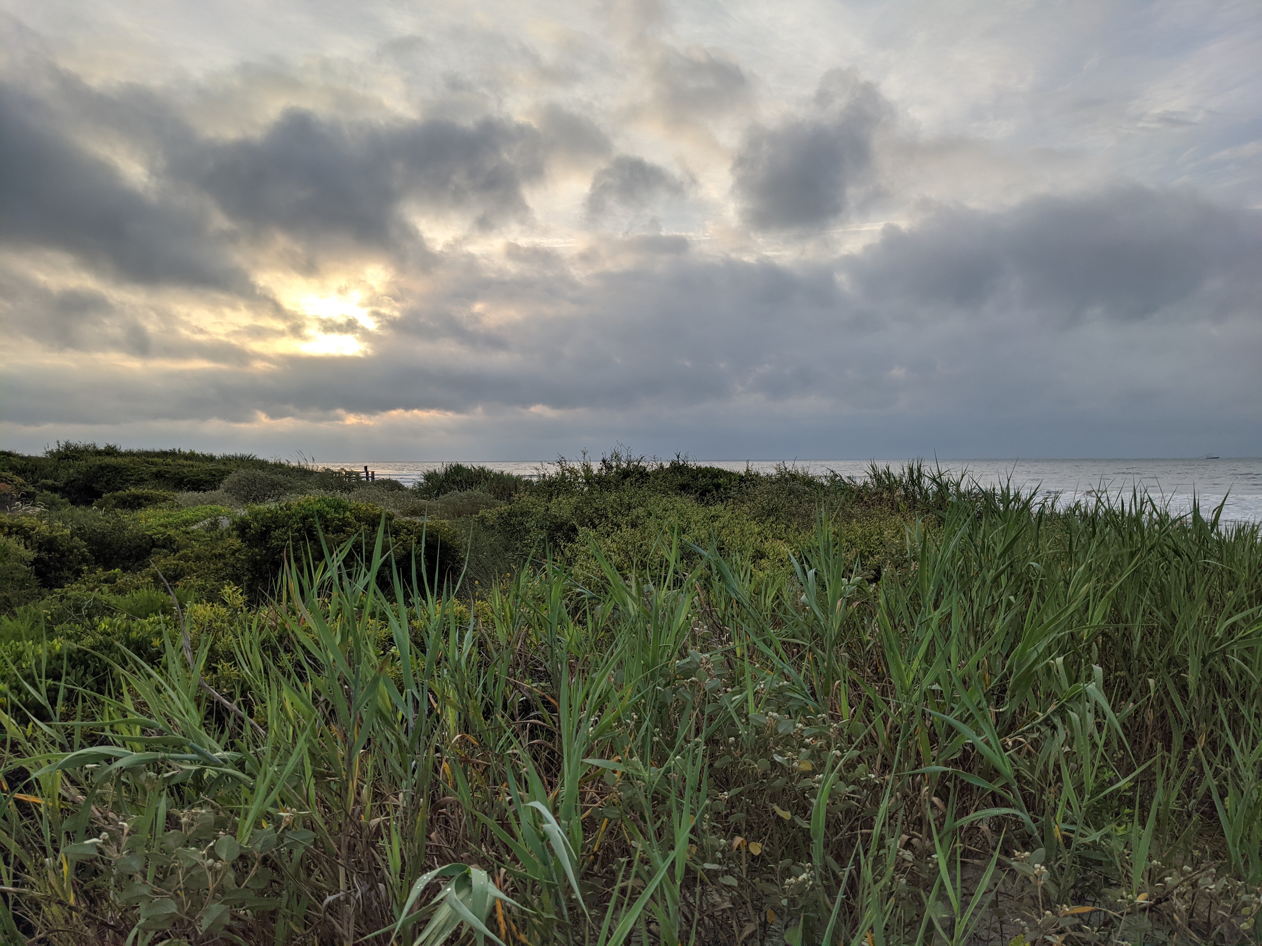 PXL 20200915 113808683