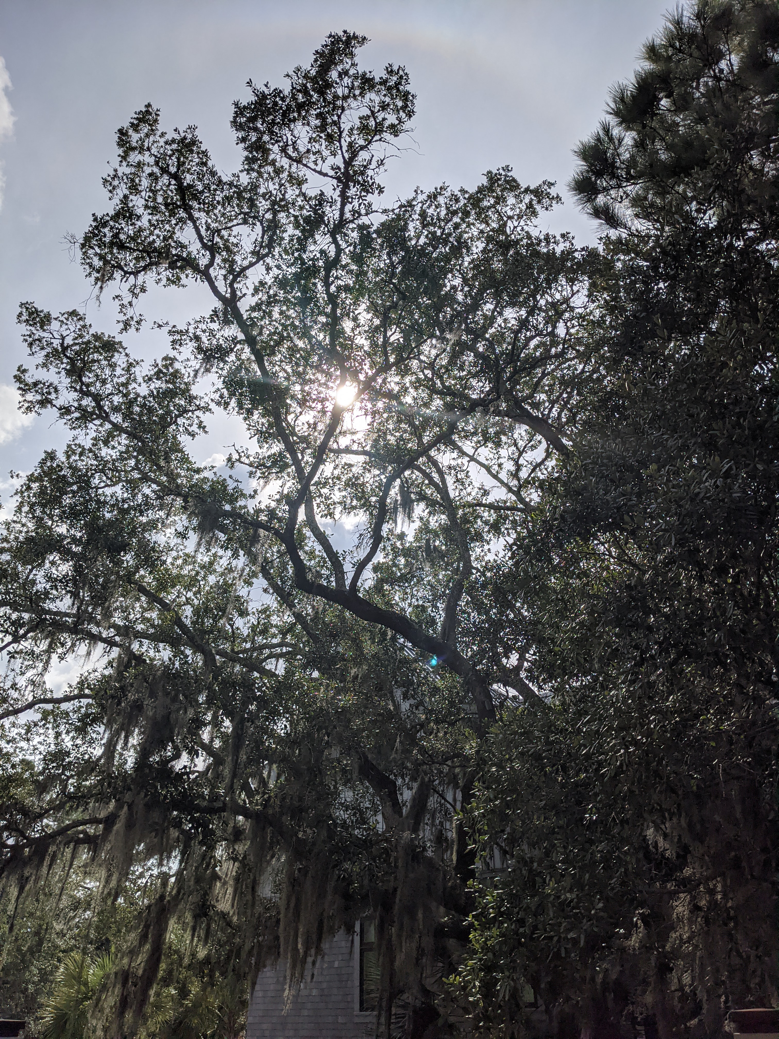 PXL 20200915 200730505