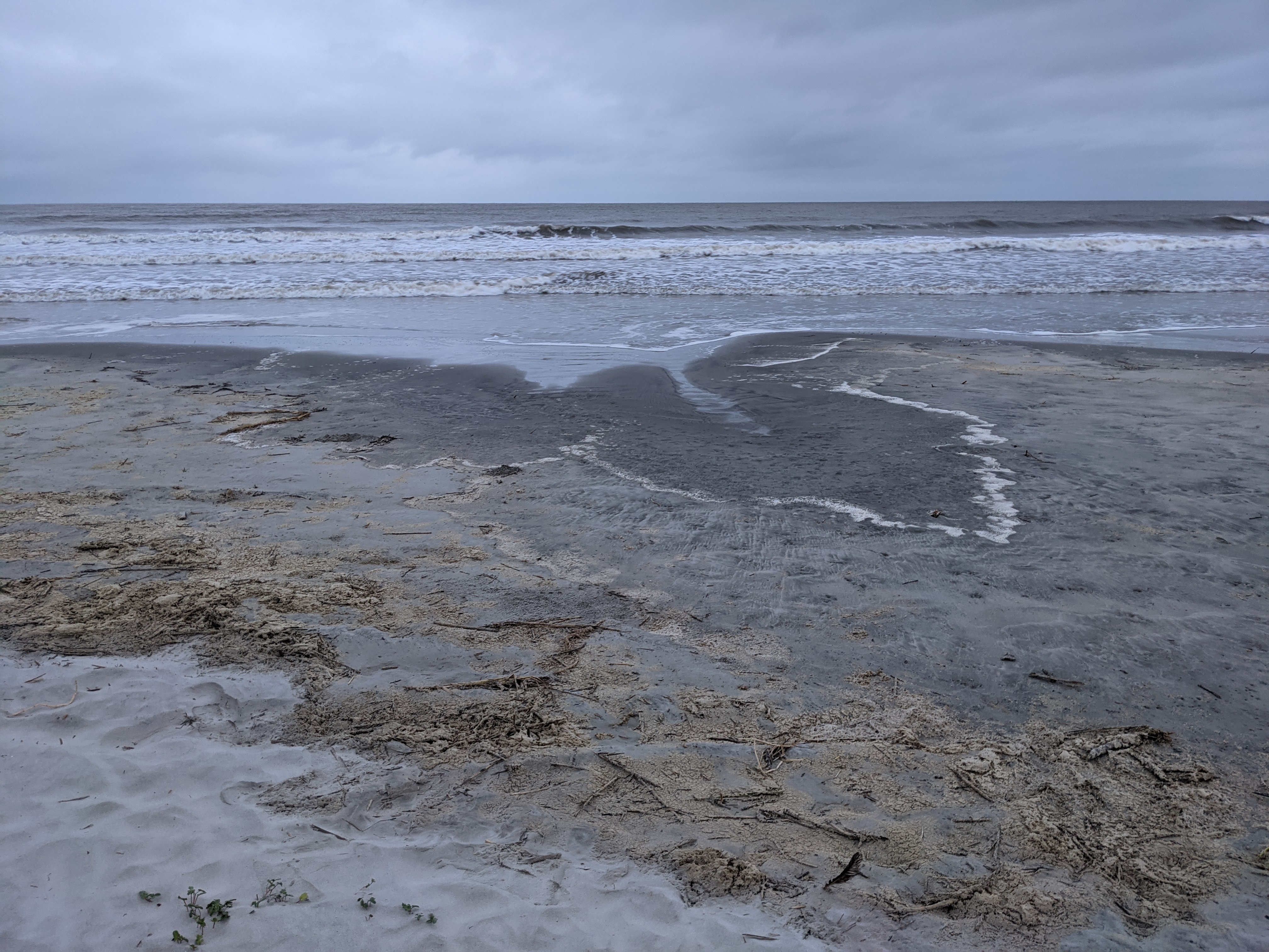 PXL 20200916 110640792