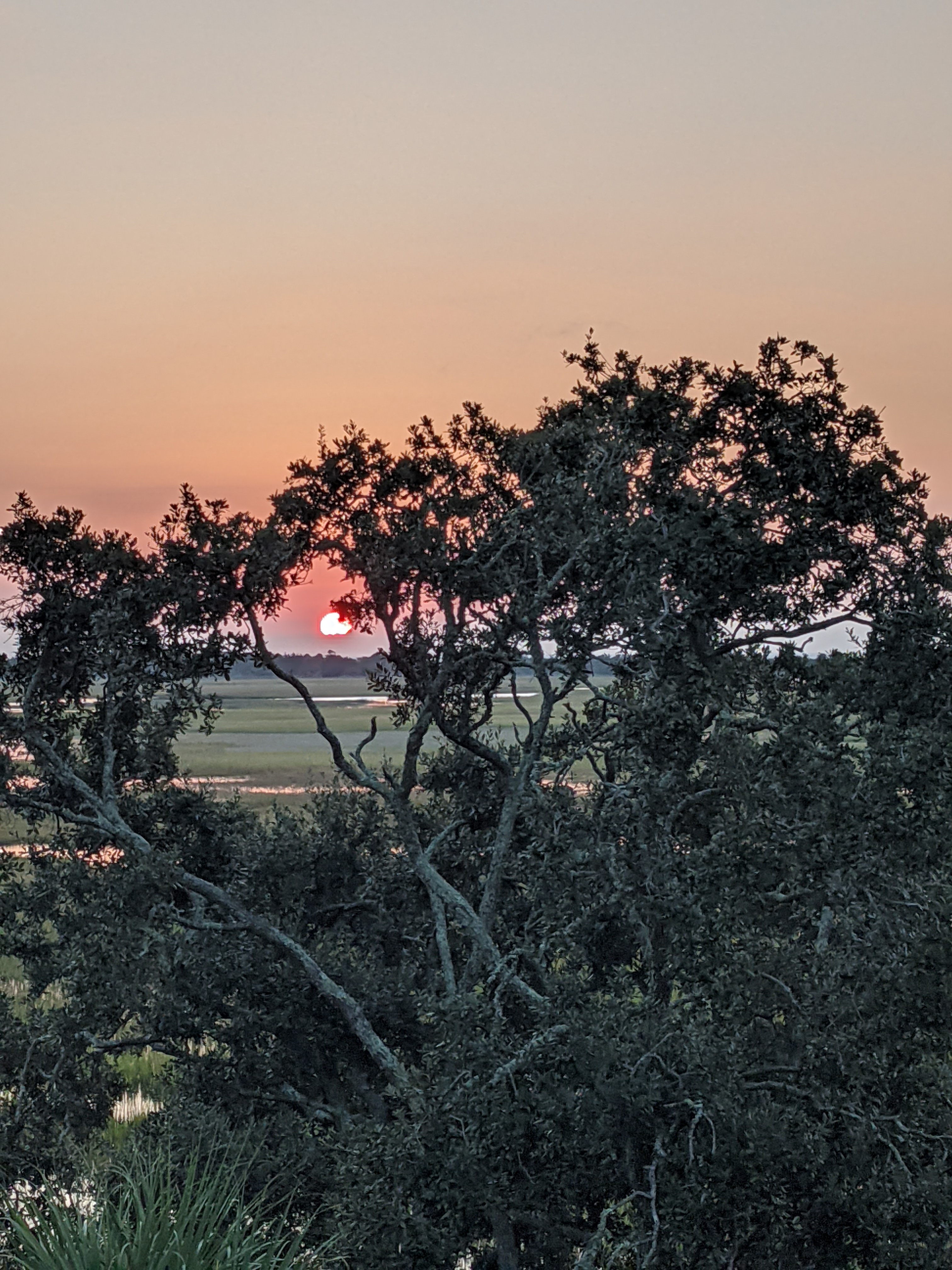 PXL 20201014 112731442