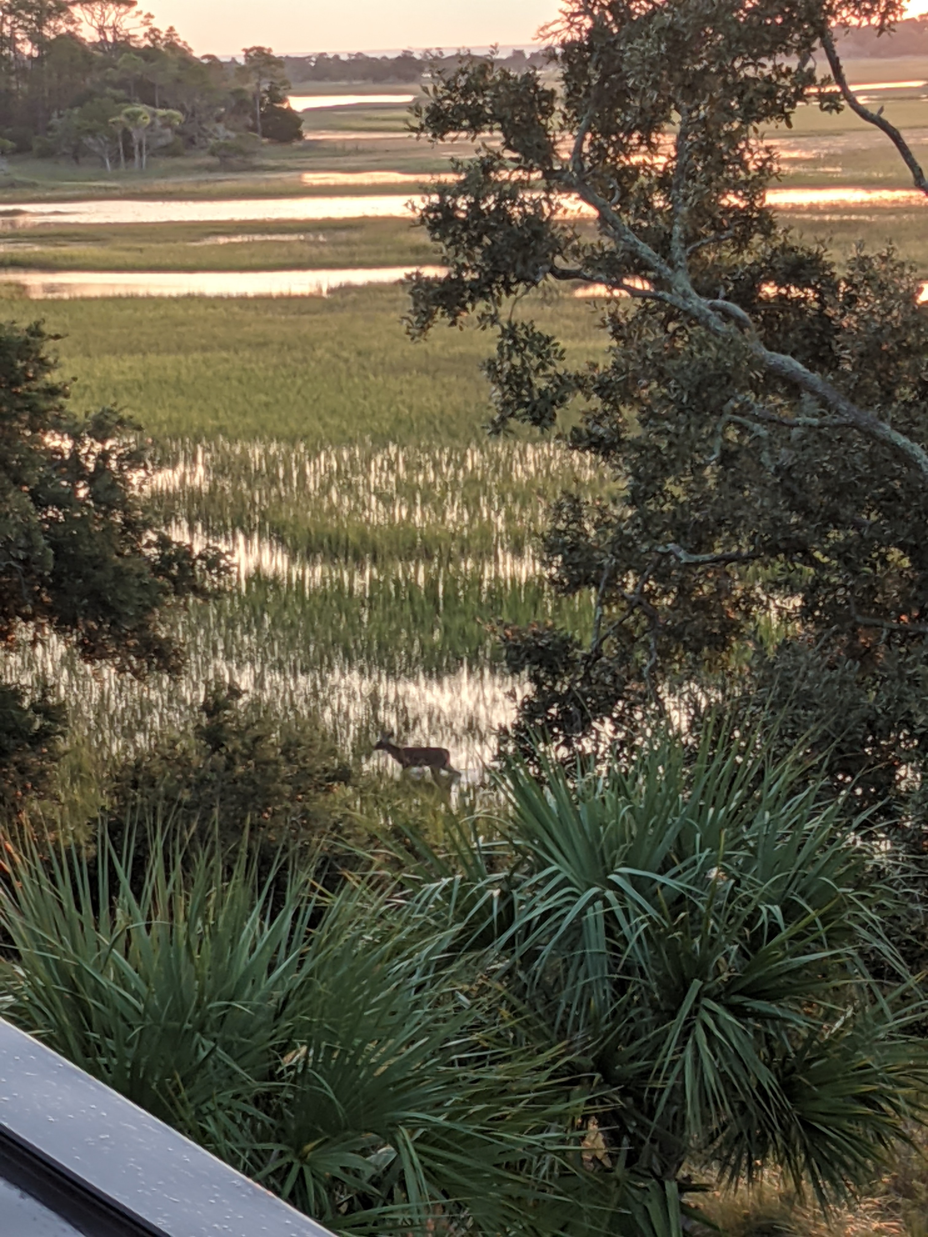 PXL 20201014 113609836