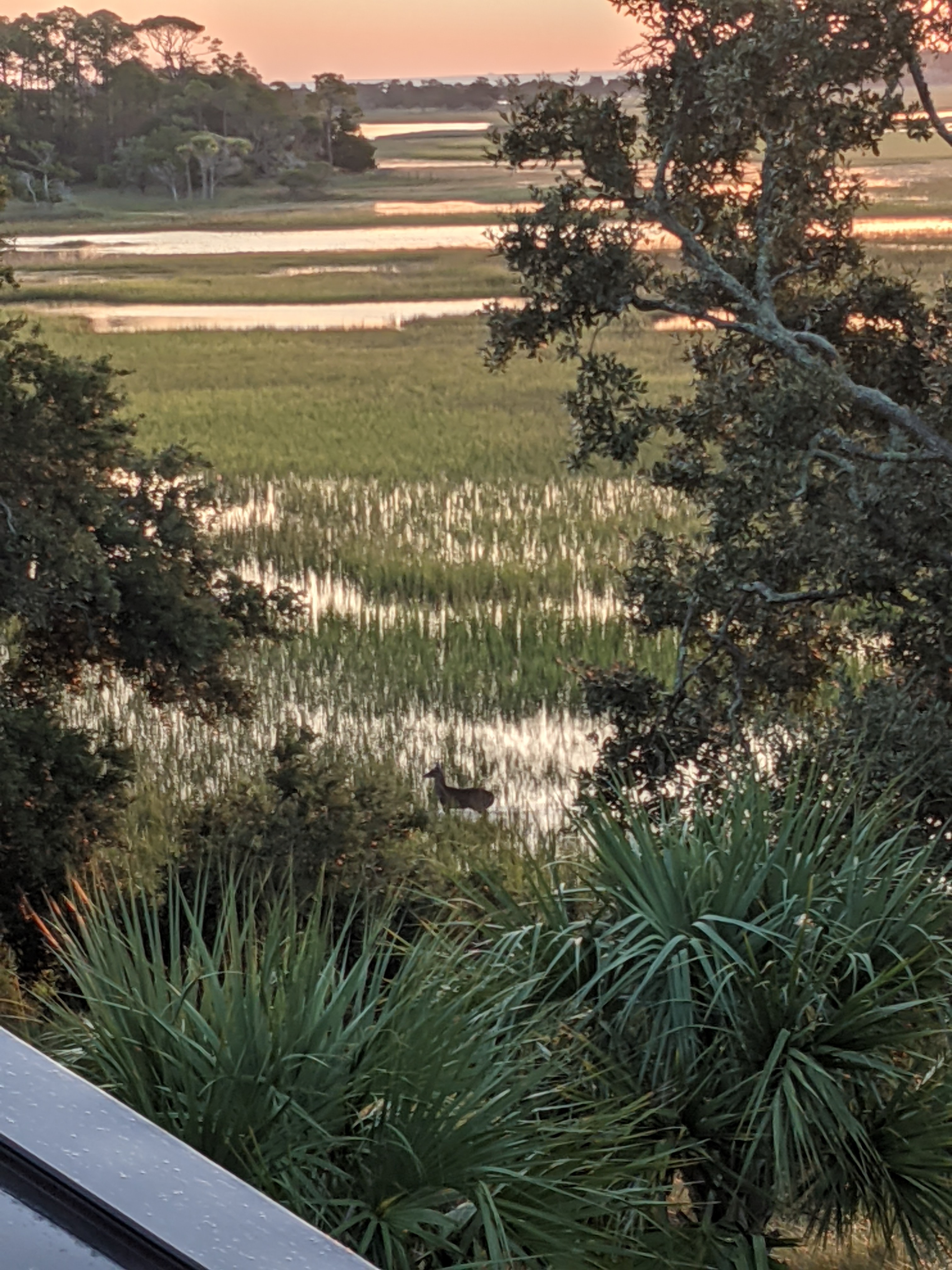 PXL 20201014 113611404