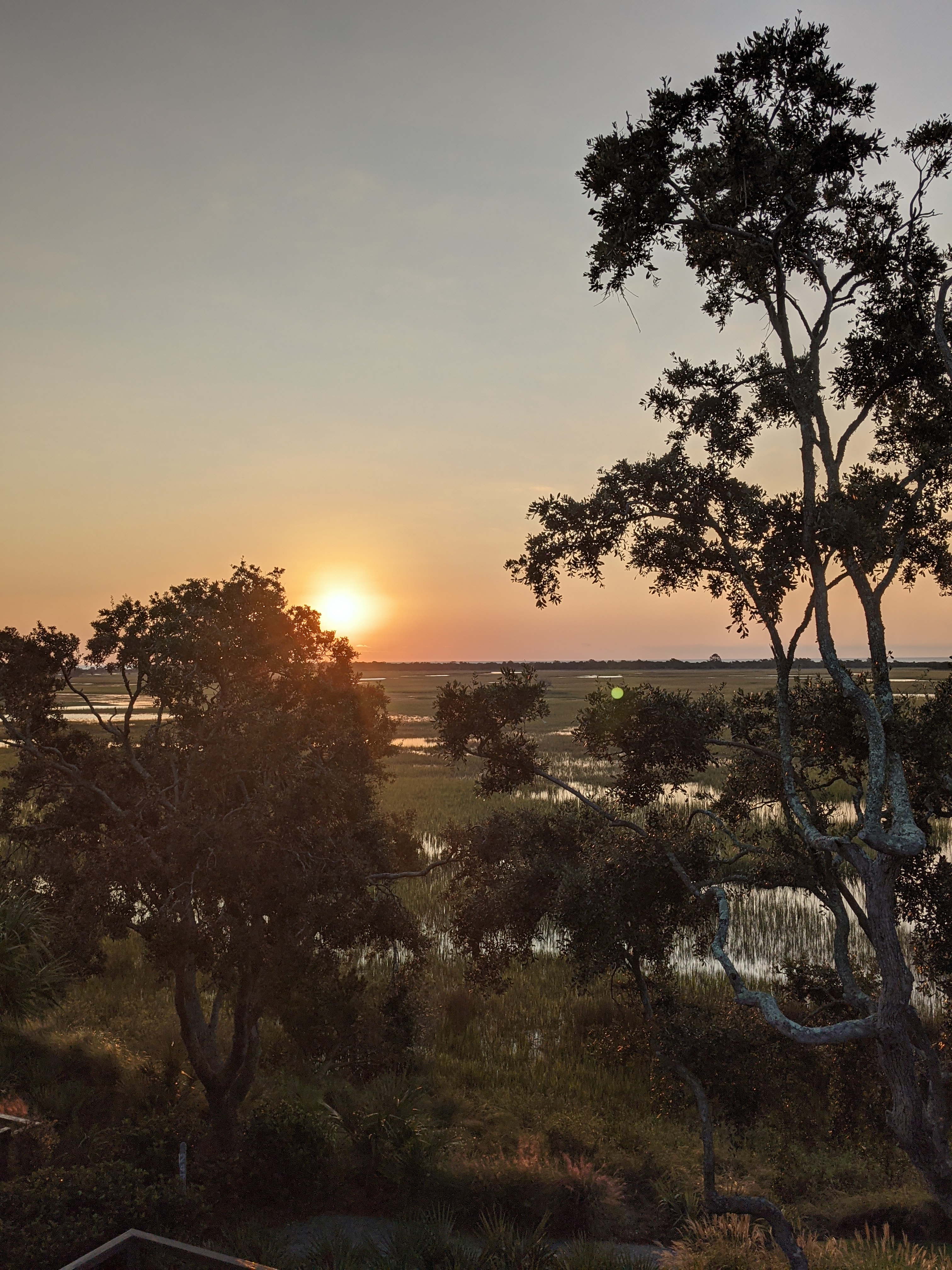 PXL 20201014 113726917