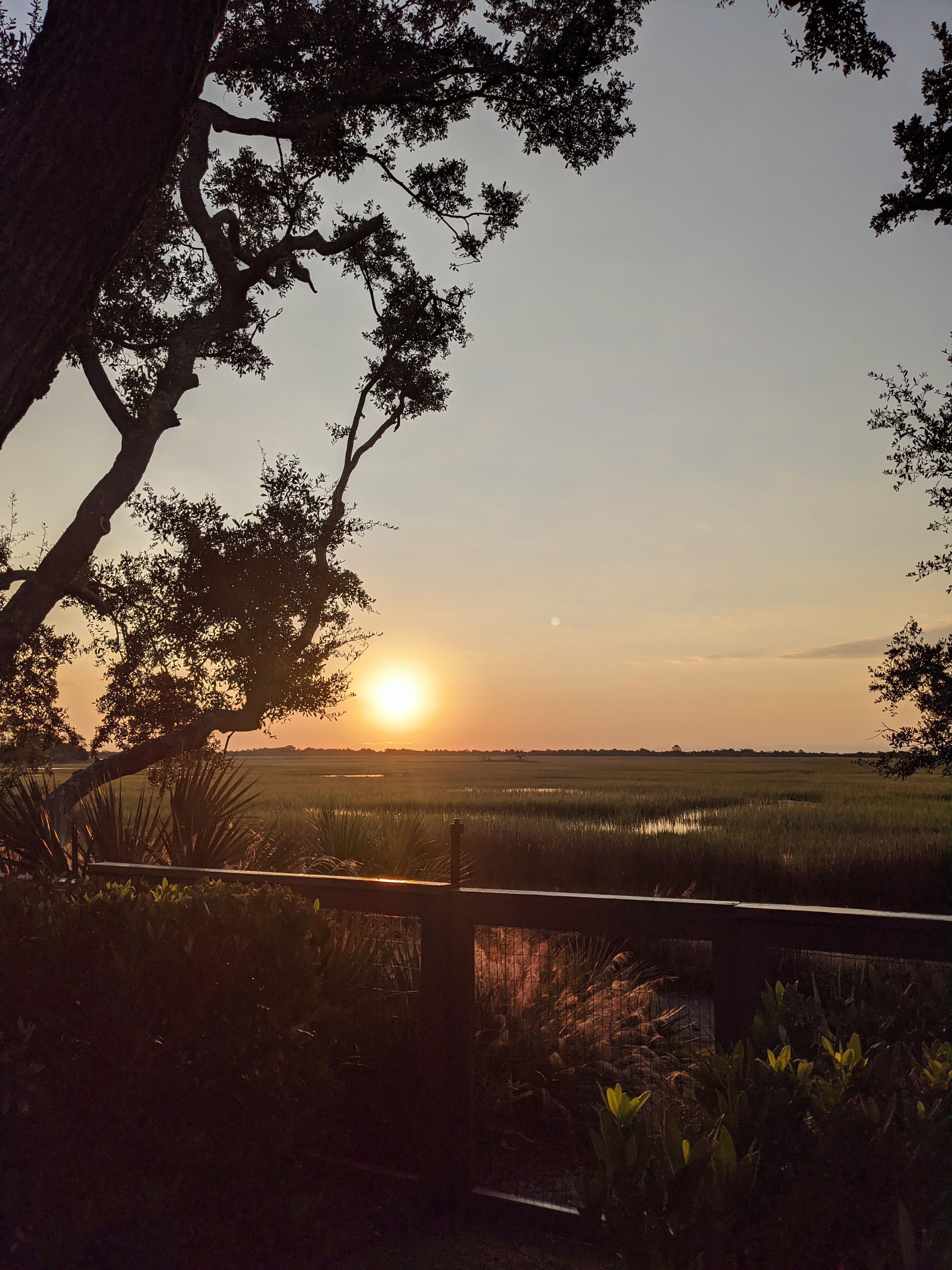 PXL 20201014 114145992