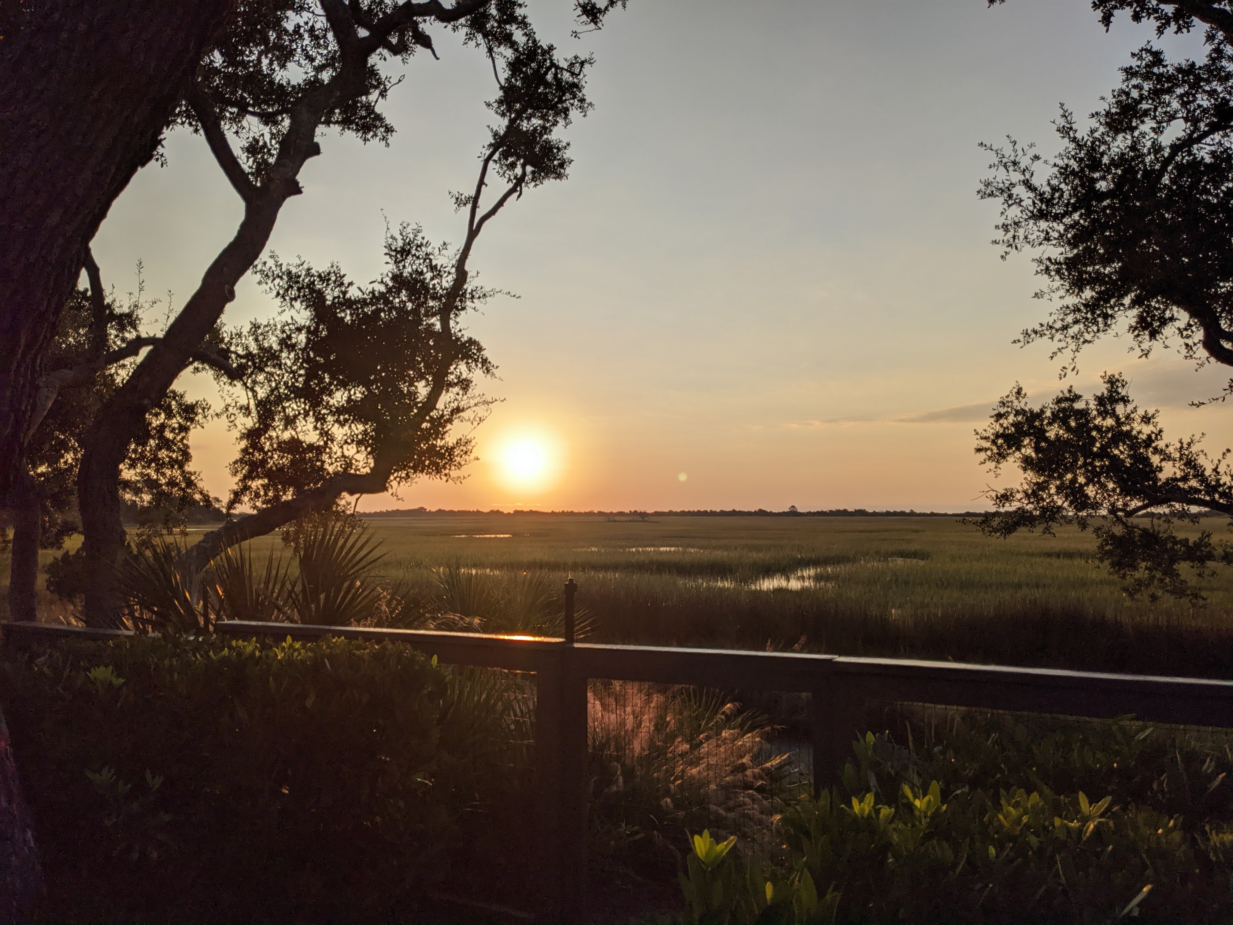 PXL 20201014 114151010