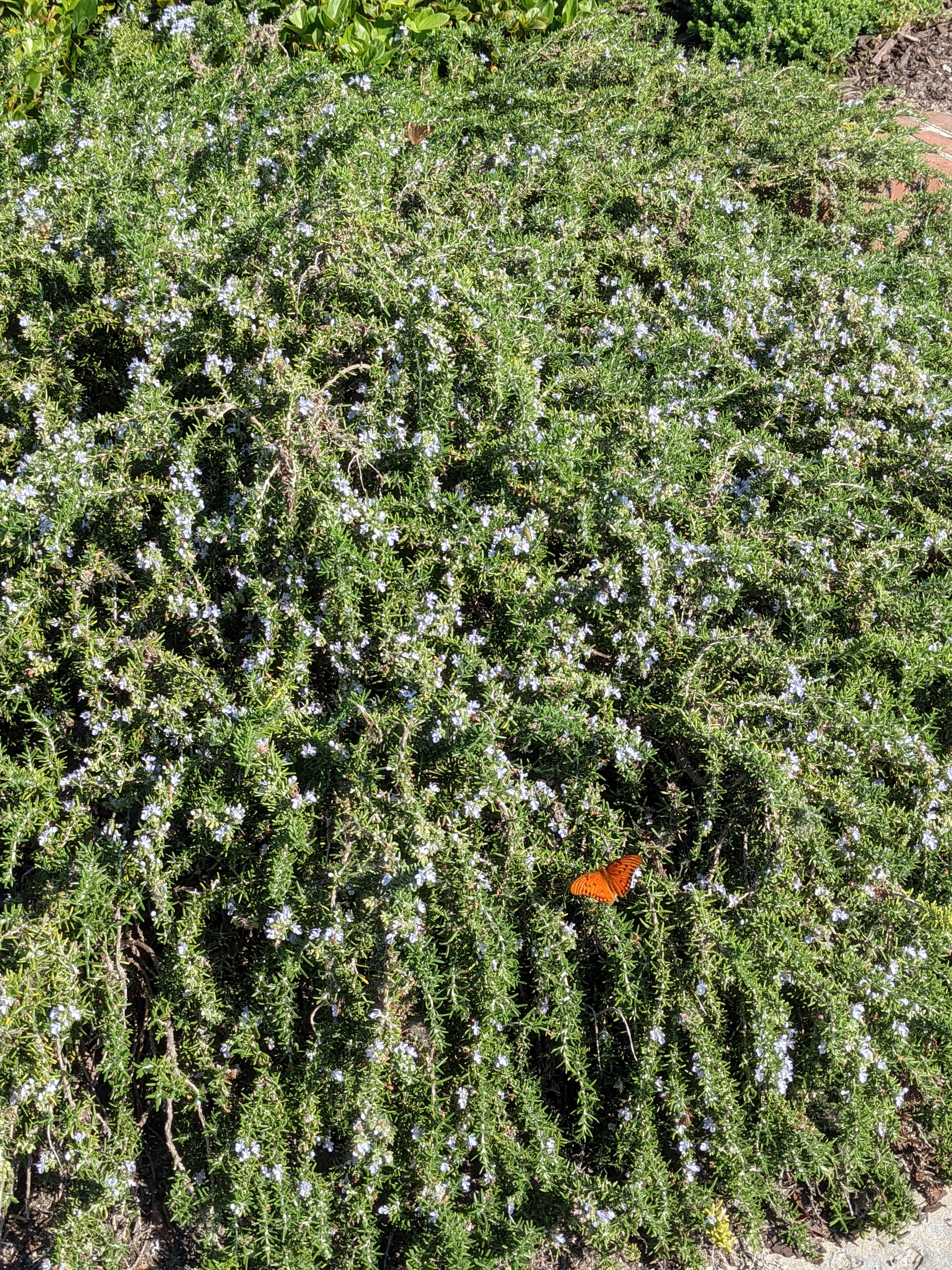 PXL 20201014 143906743