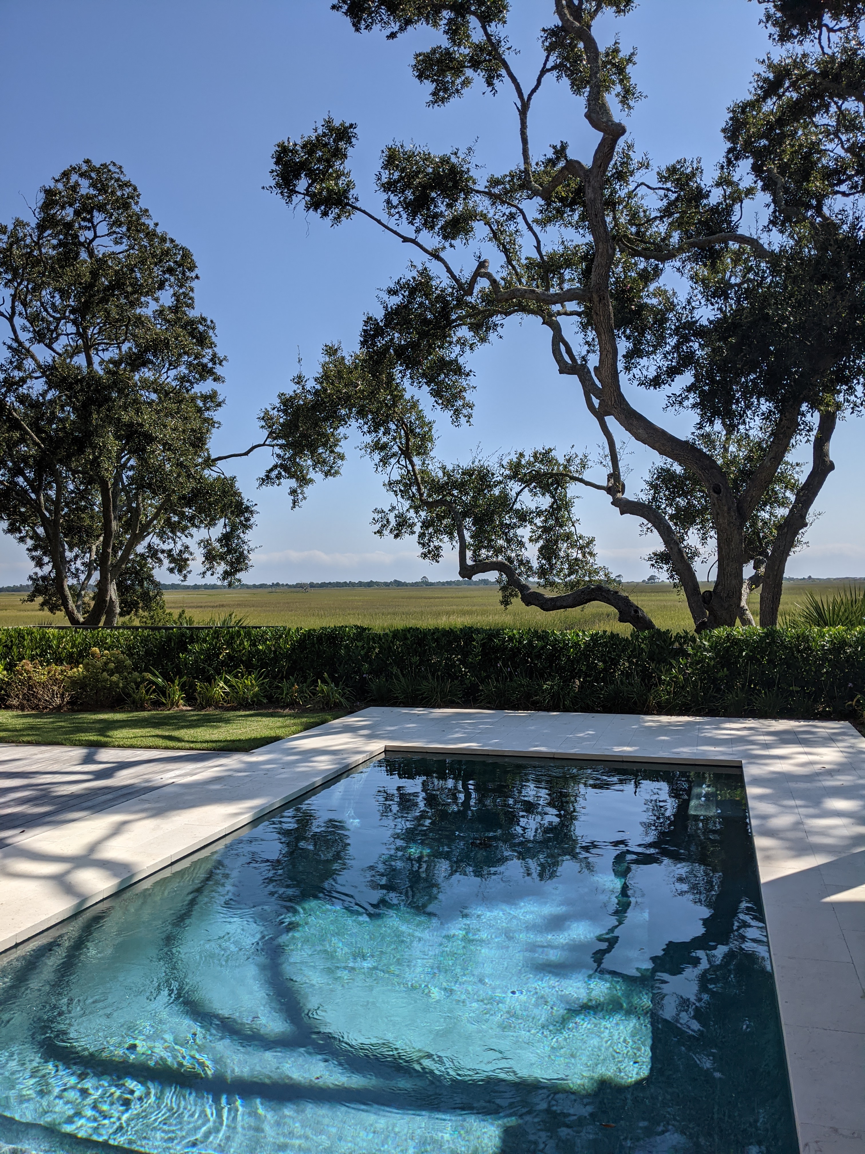 PXL 20201014 165115147