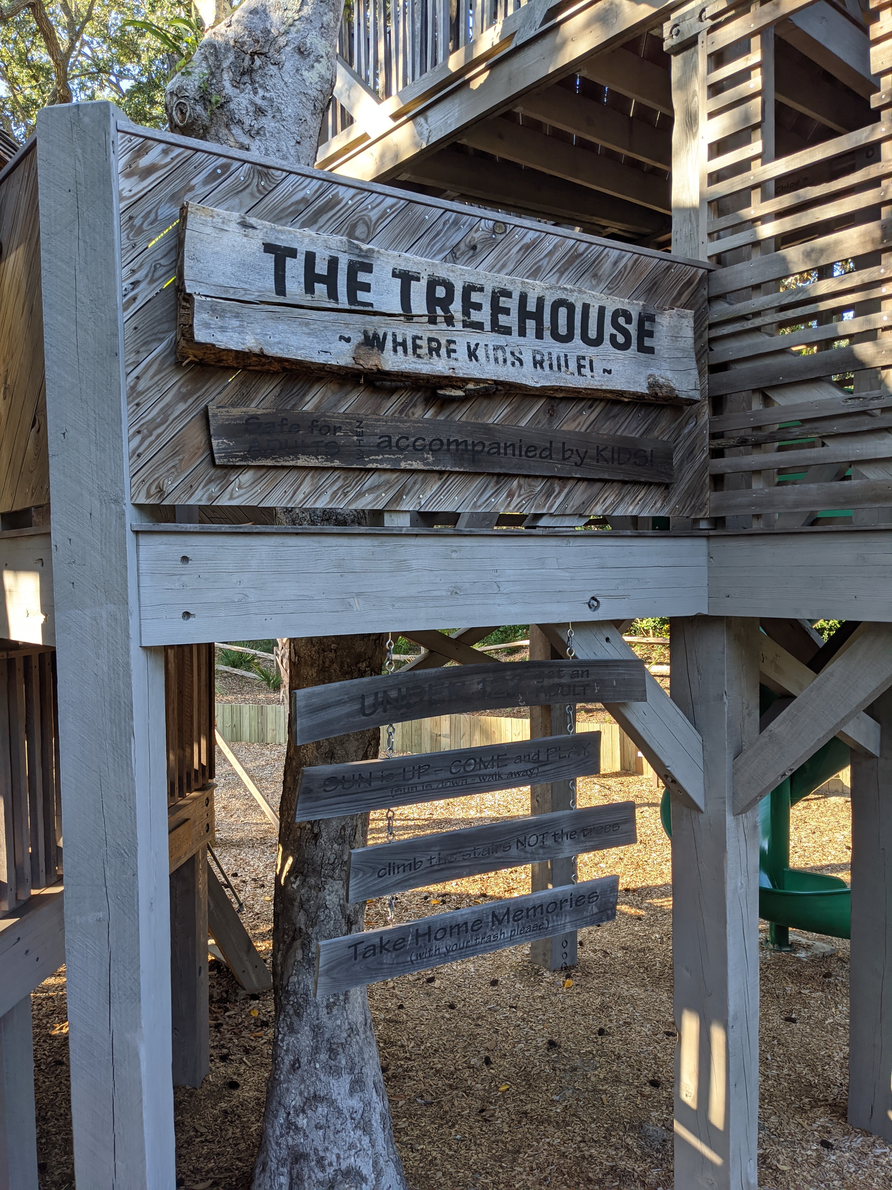 PXL 20201014 205351847