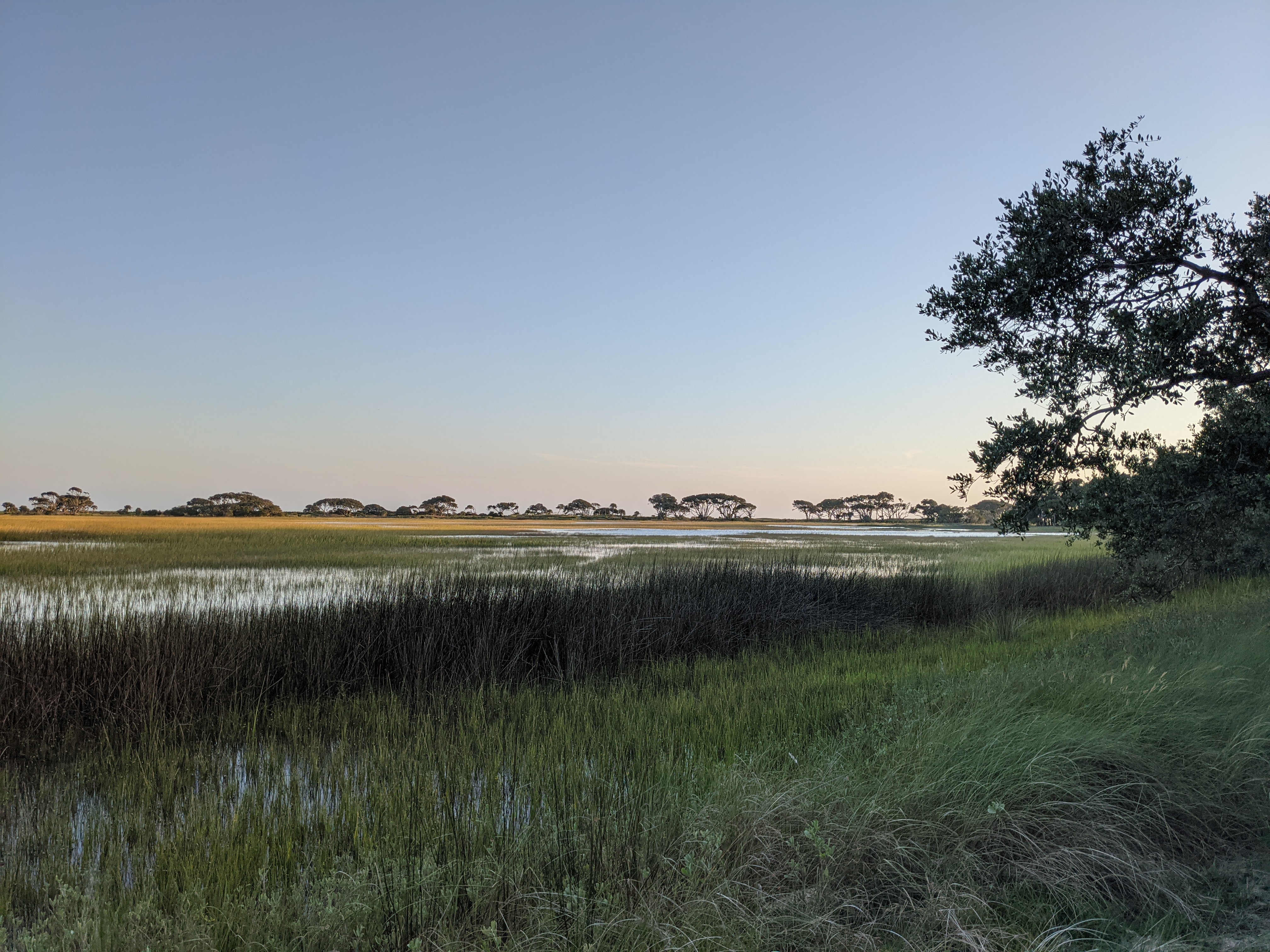 PXL 20201014 221737065