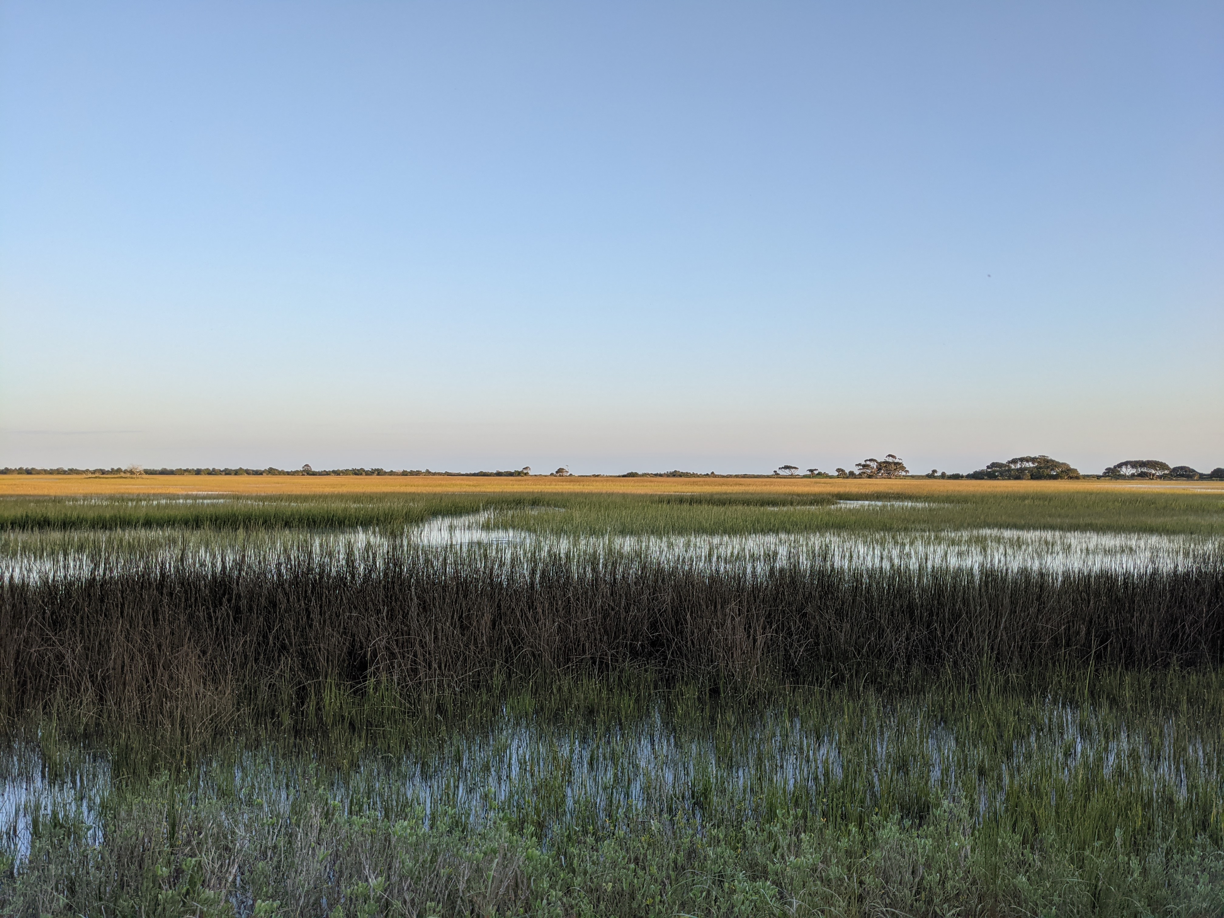 PXL 20201014 221742000