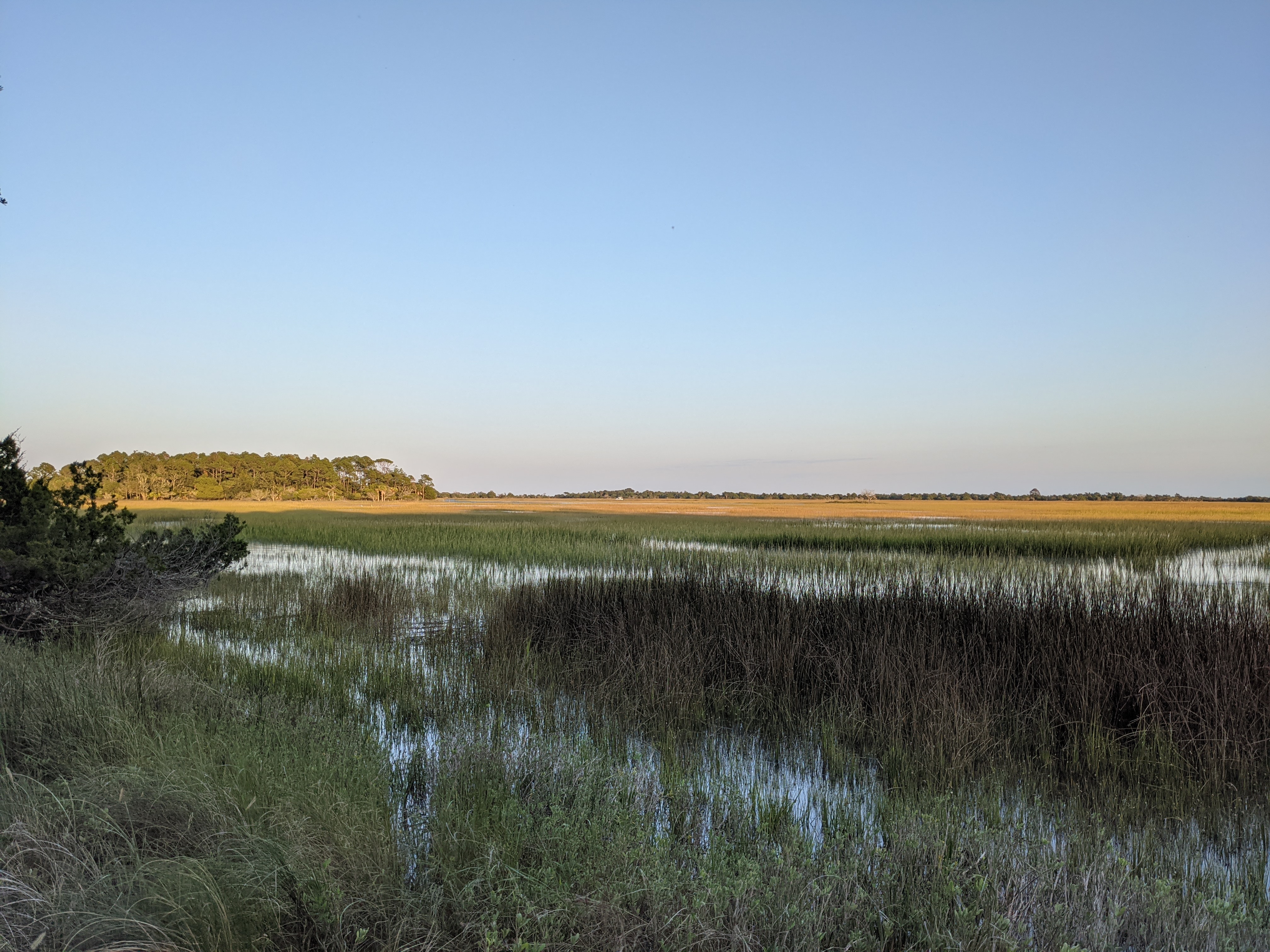 PXL 20201014 221745885