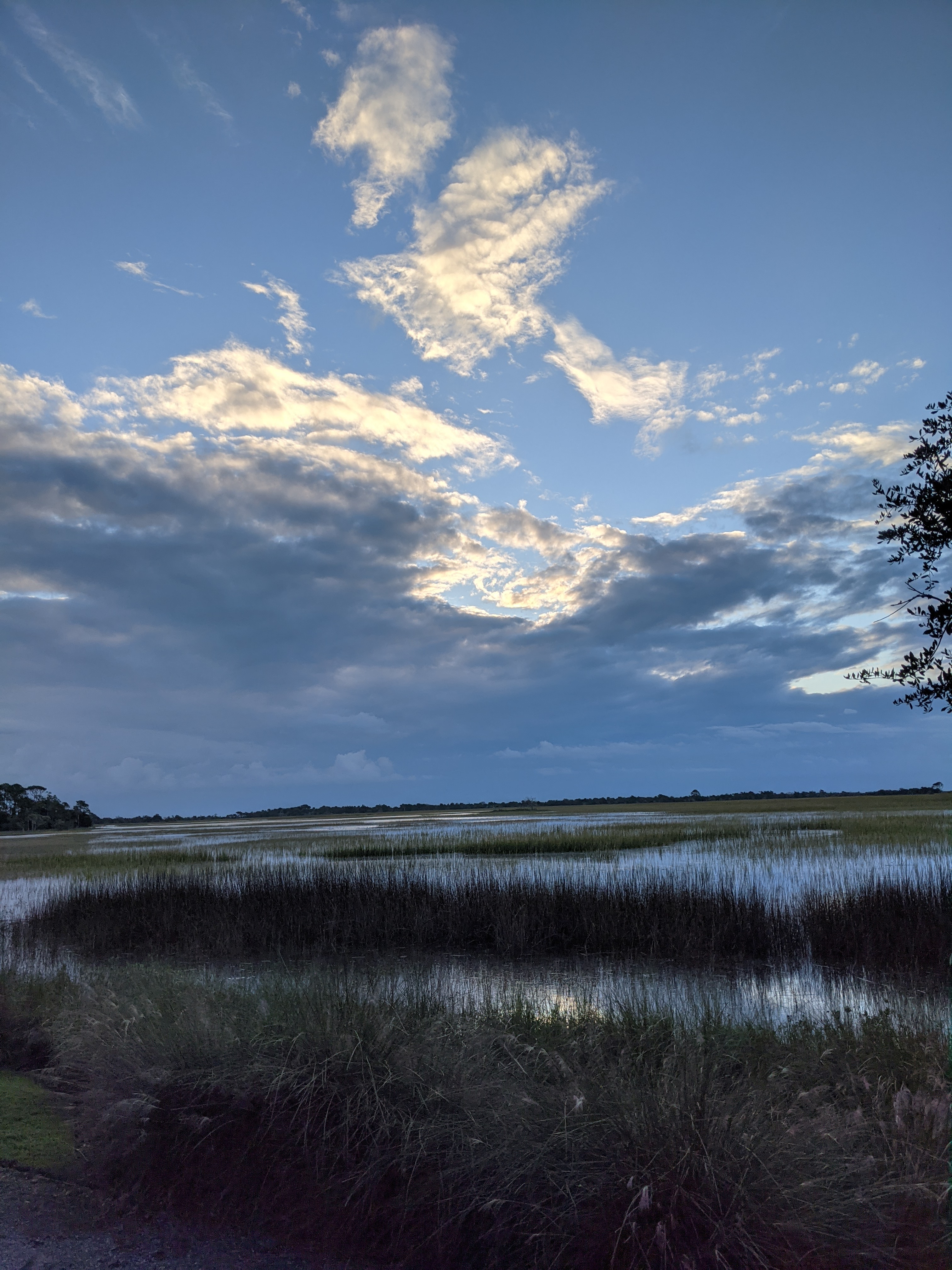 PXL 20201015 115410744