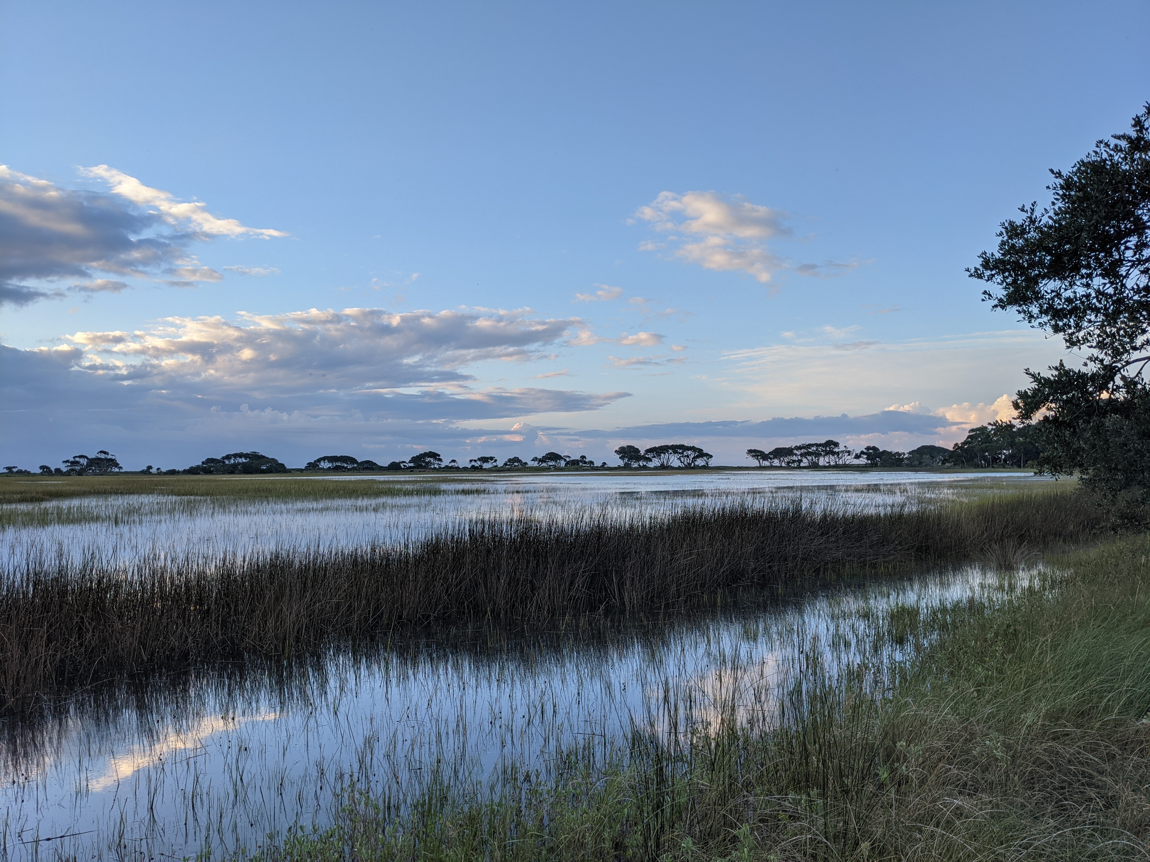 PXL 20201015 115440138