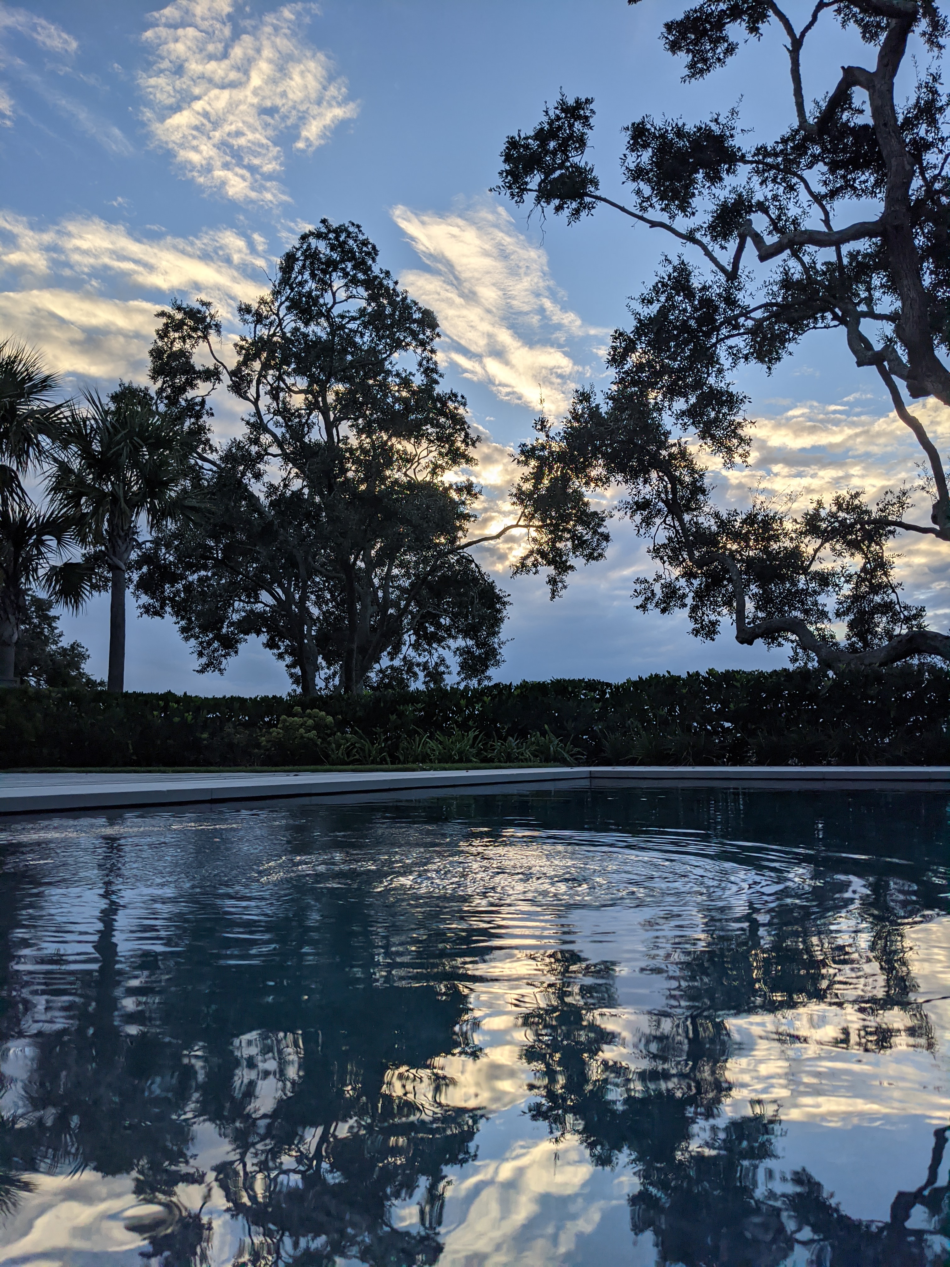 PXL 20201015 115643104.MP