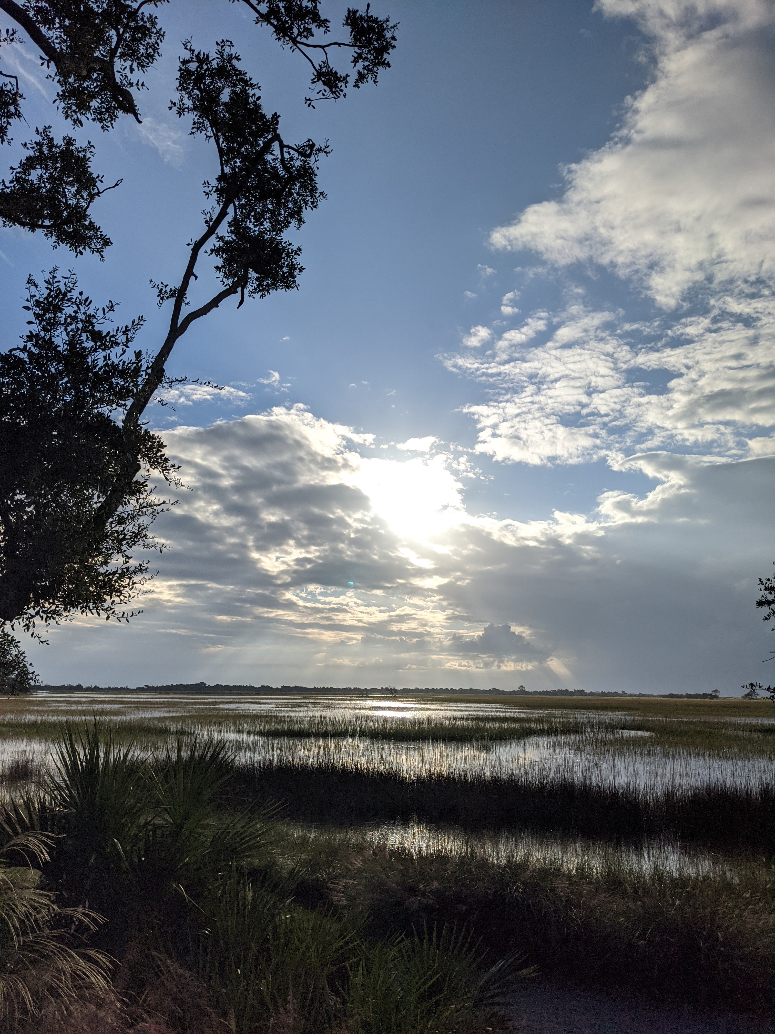 PXL 20201015 123415165