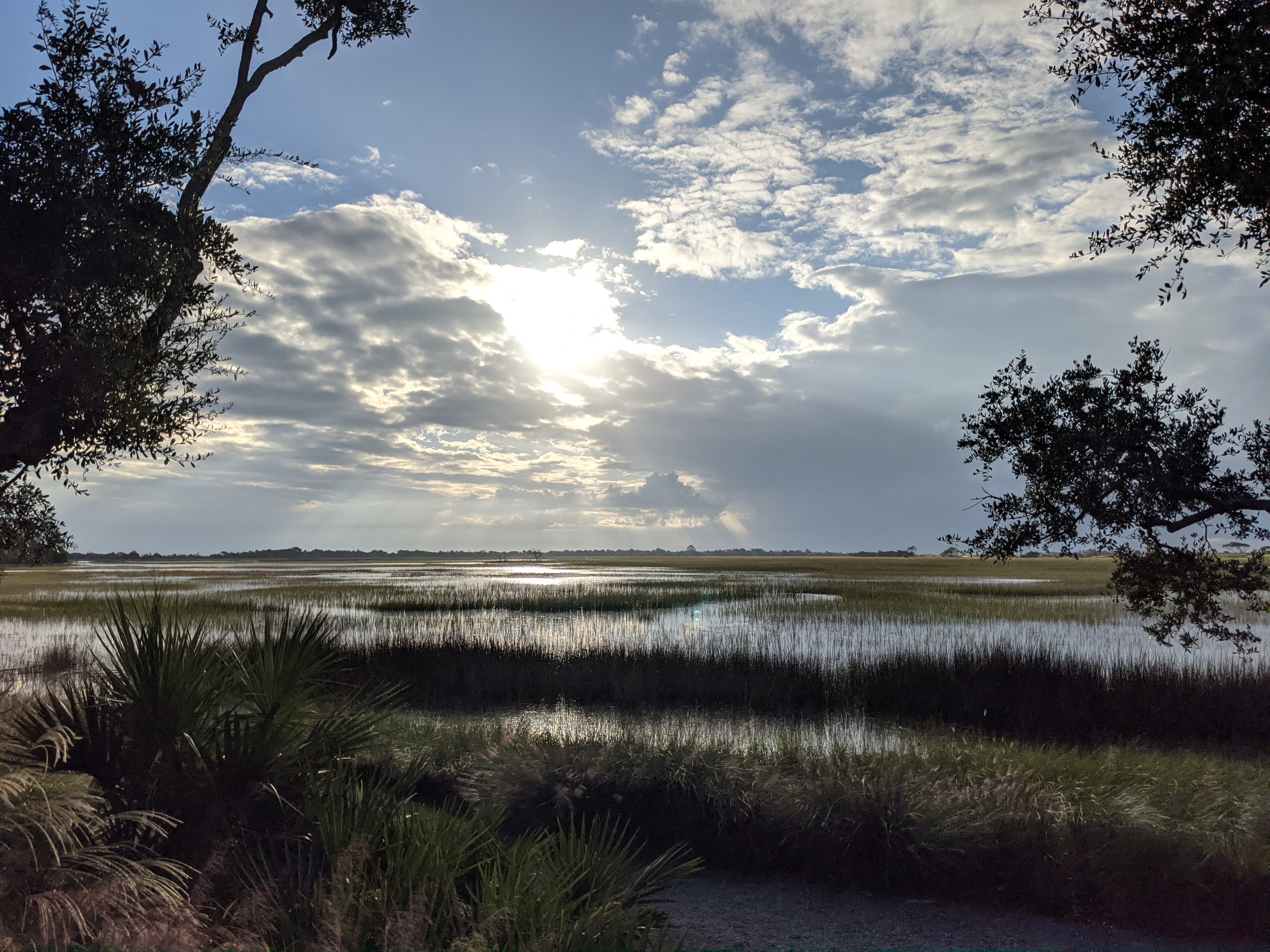 PXL 20201015 123423224