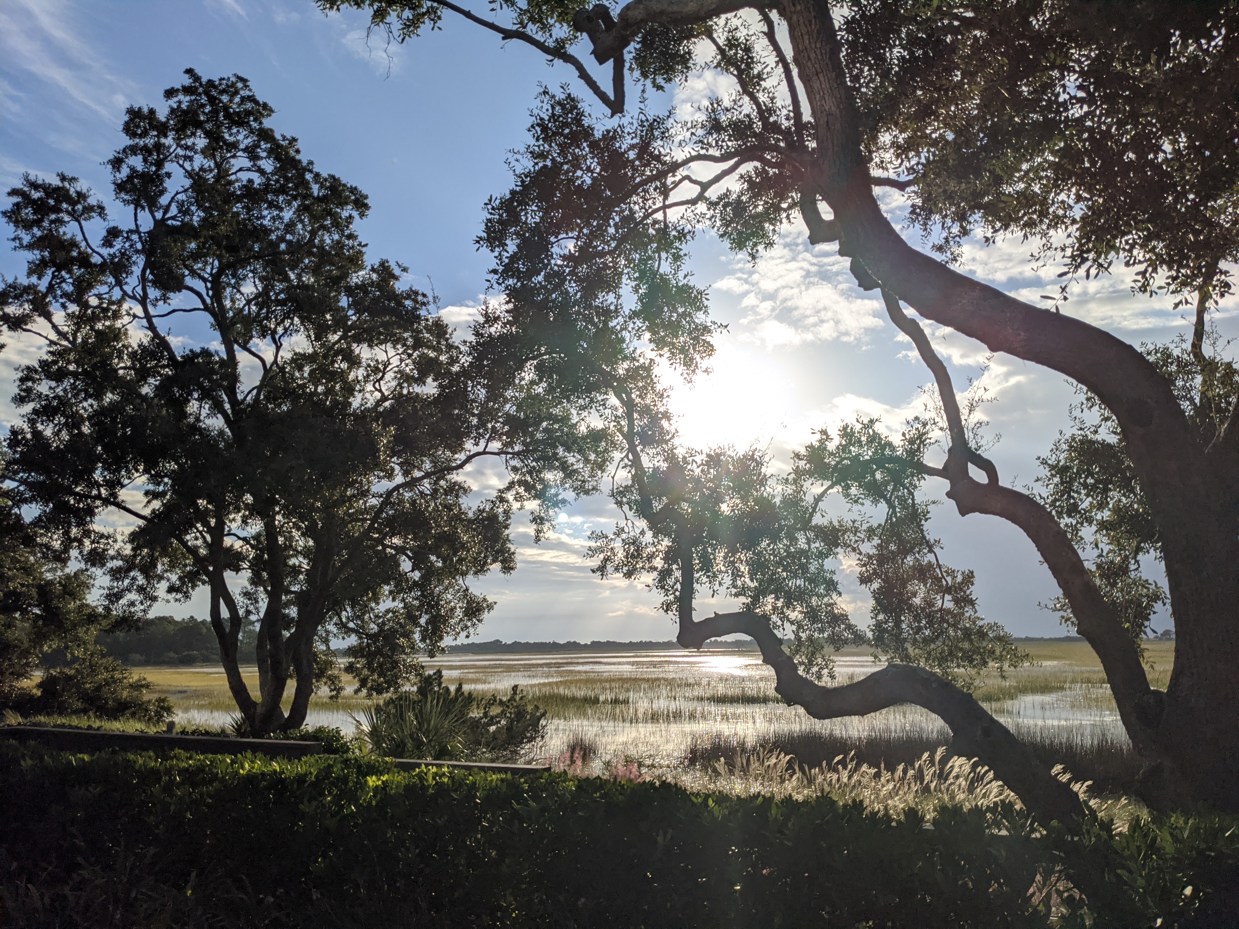 PXL 20201015 123544453